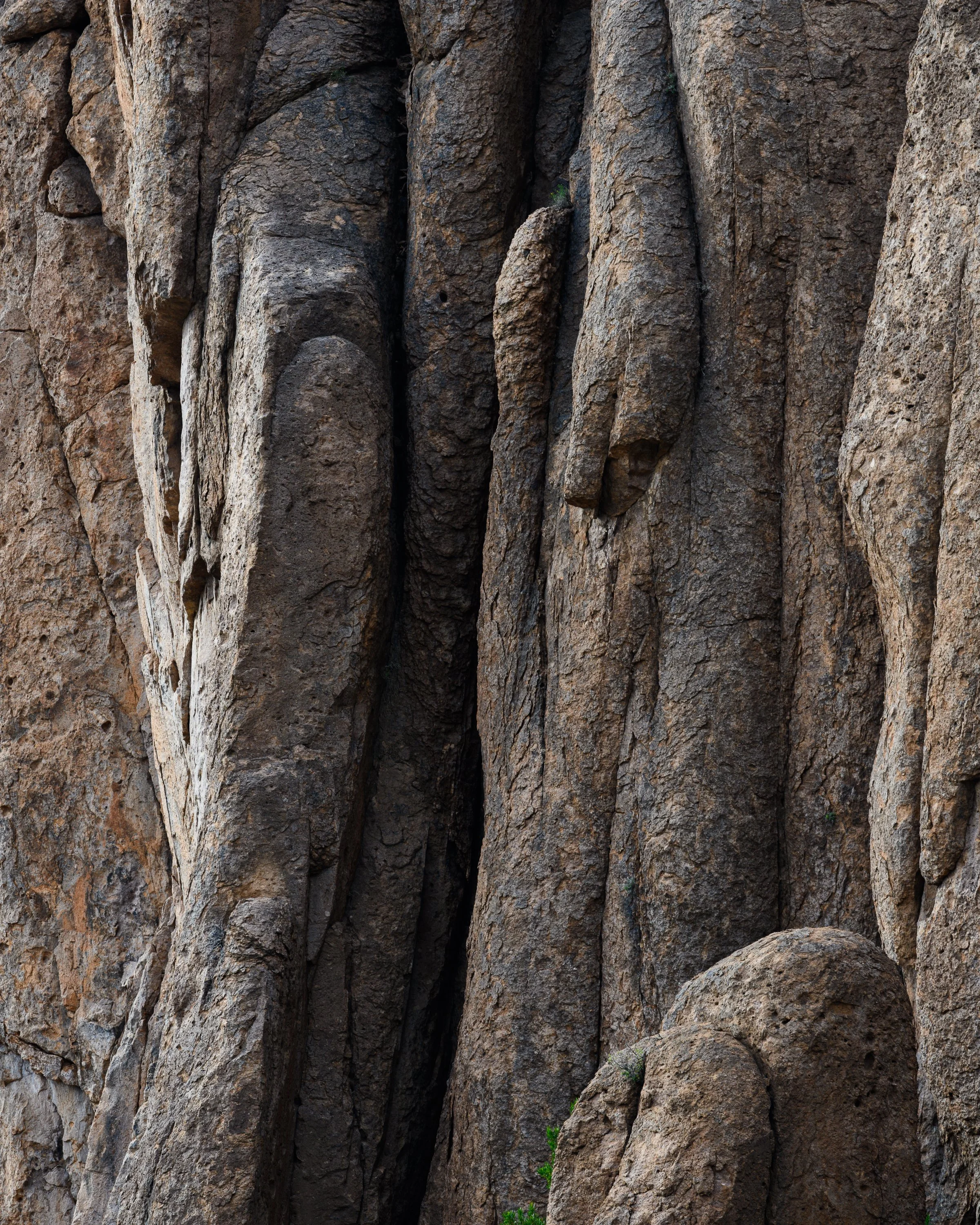 Superstition Wilderness, Arizona
