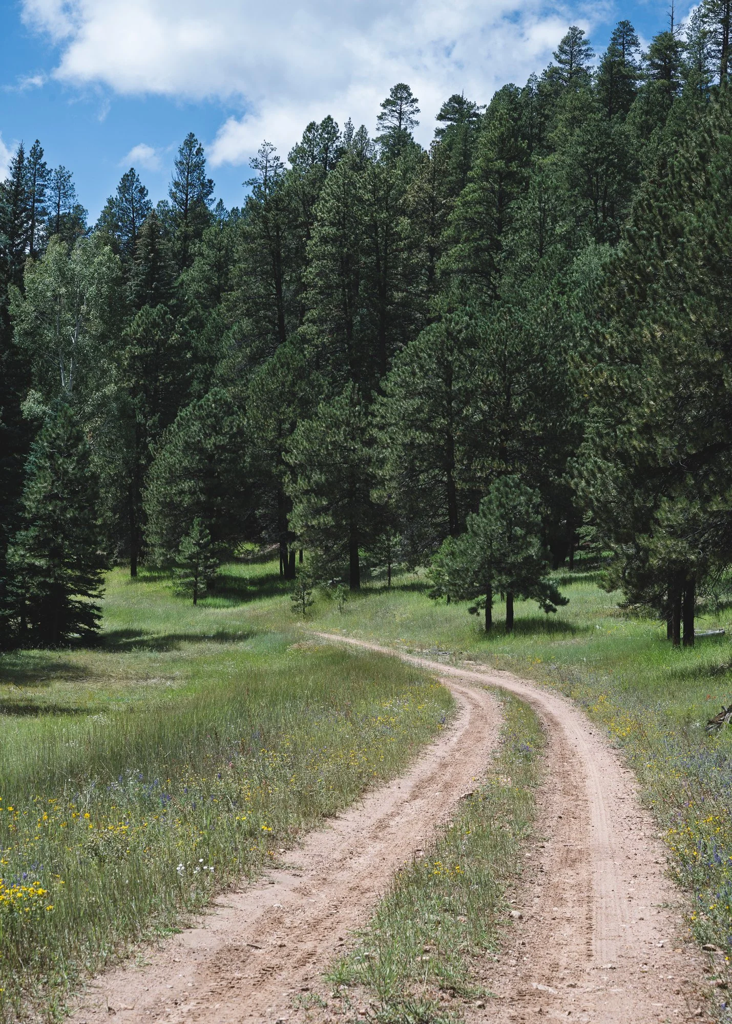 North Rim, Grand Canyon National Park, Arizona