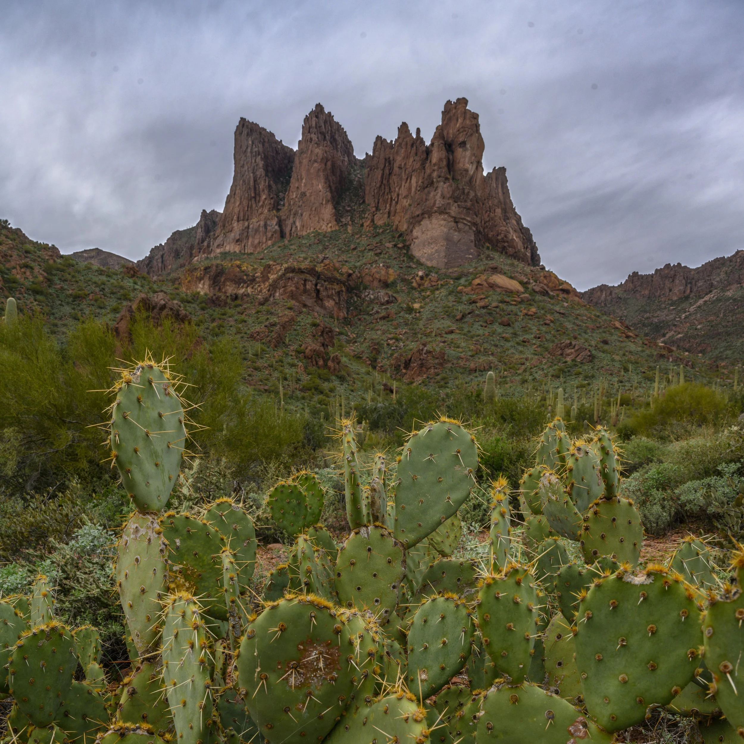 Superstition Wilderness, Arizona