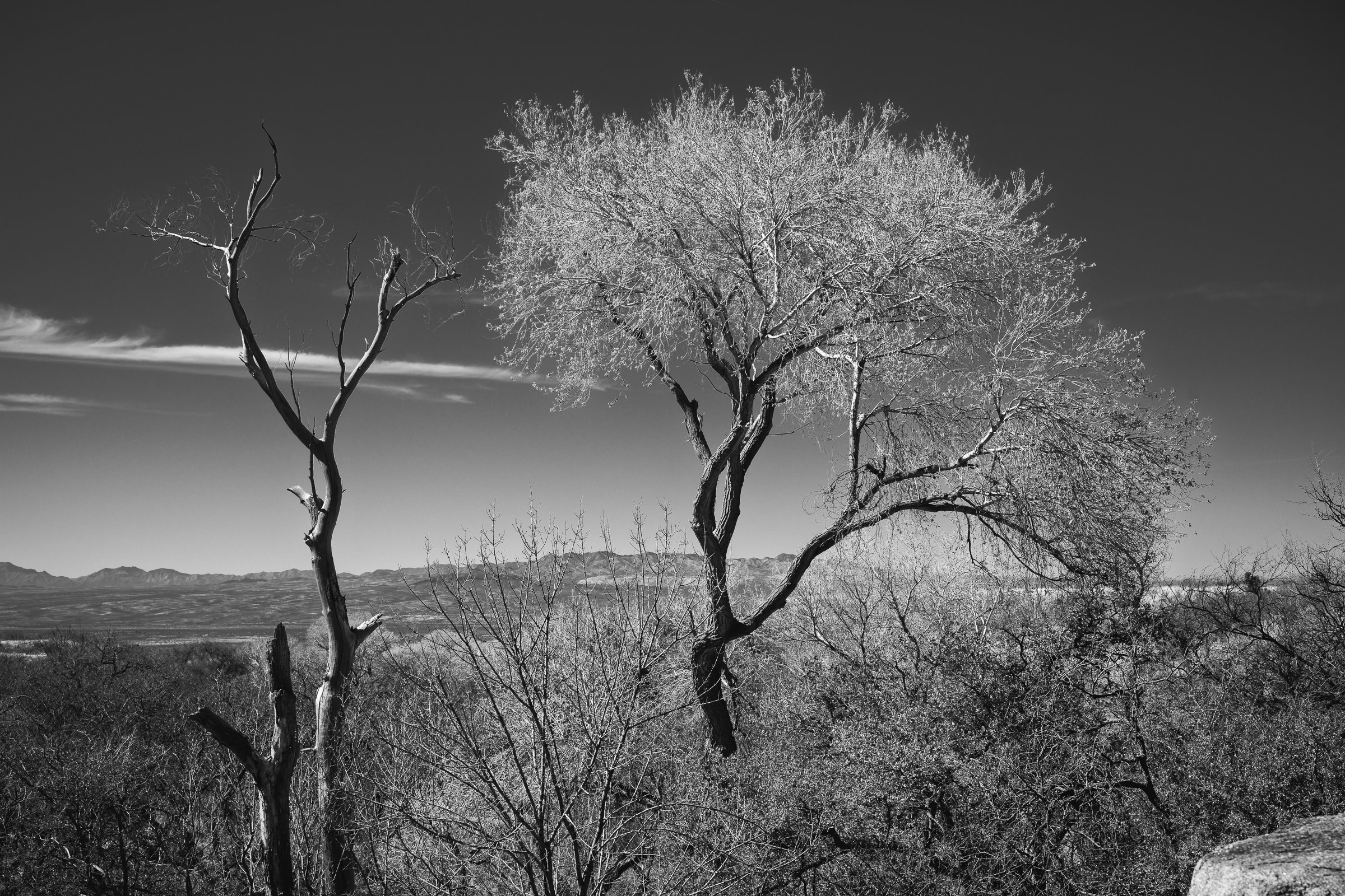 Madera Canyon, Arizona