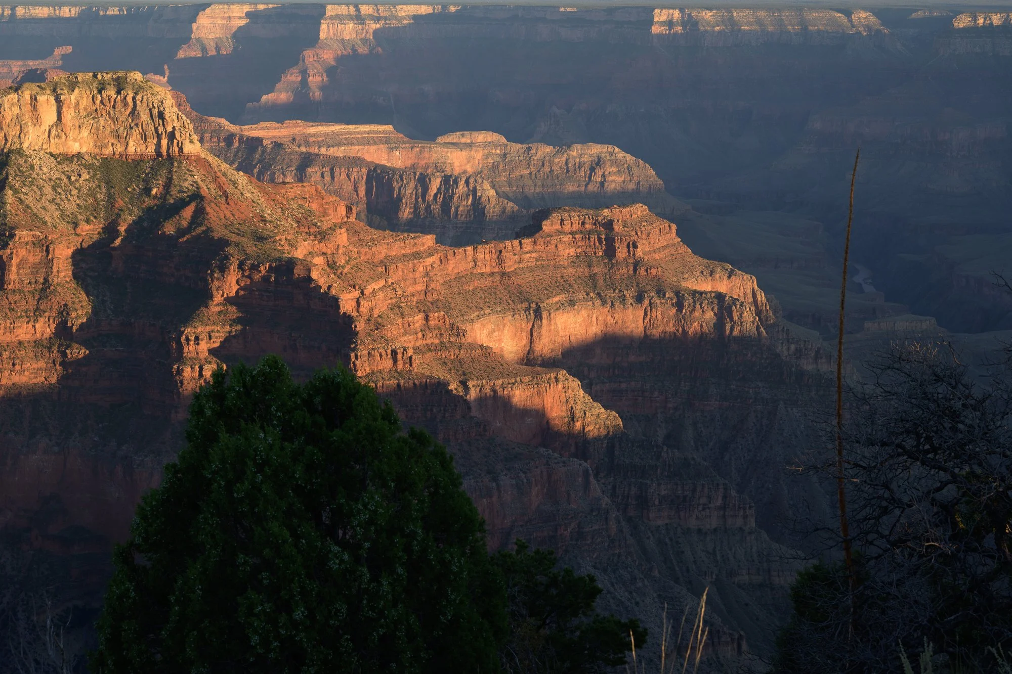 North Rim, Point Sublime, Grand Canyon National Park, Arizona
