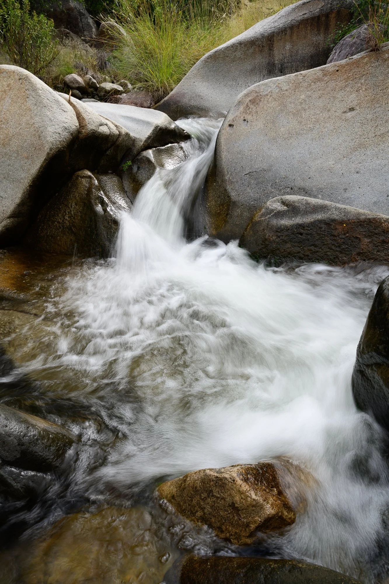 A small mountain stream flowing over rocks.