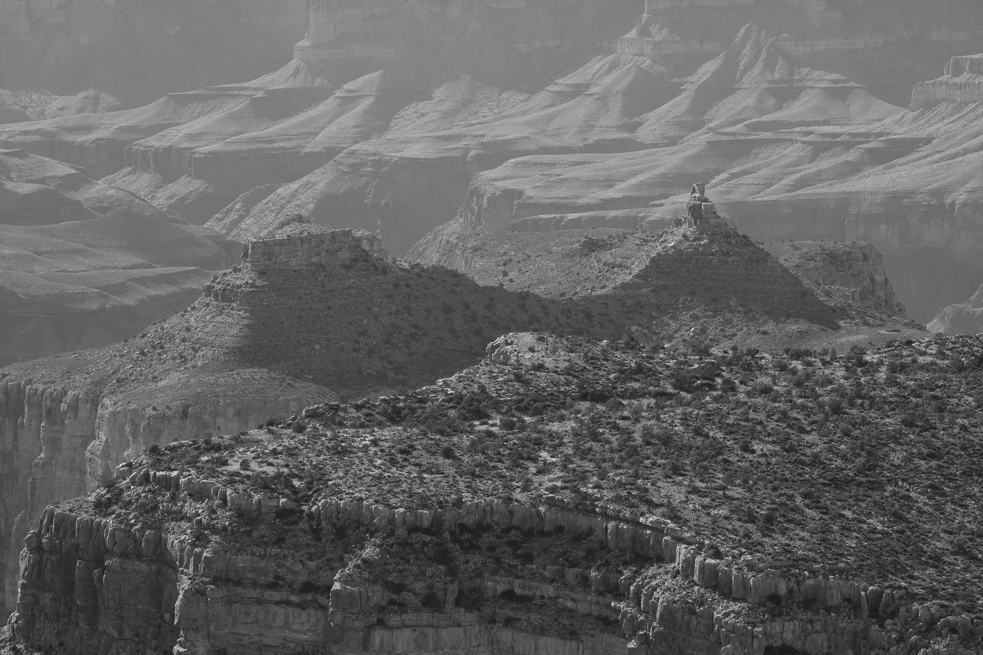 North Rim, Point Sublime, Grand Canyon National Park, Arizona