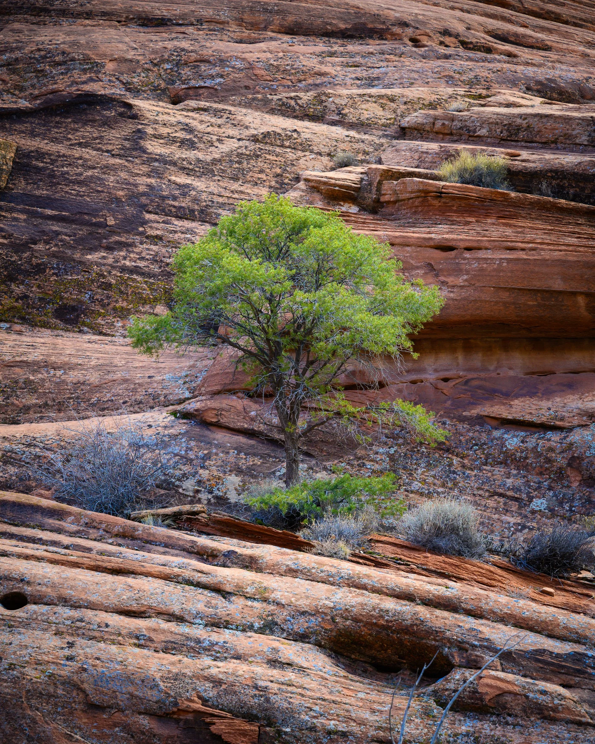 Canyon de Chelly, Arizona