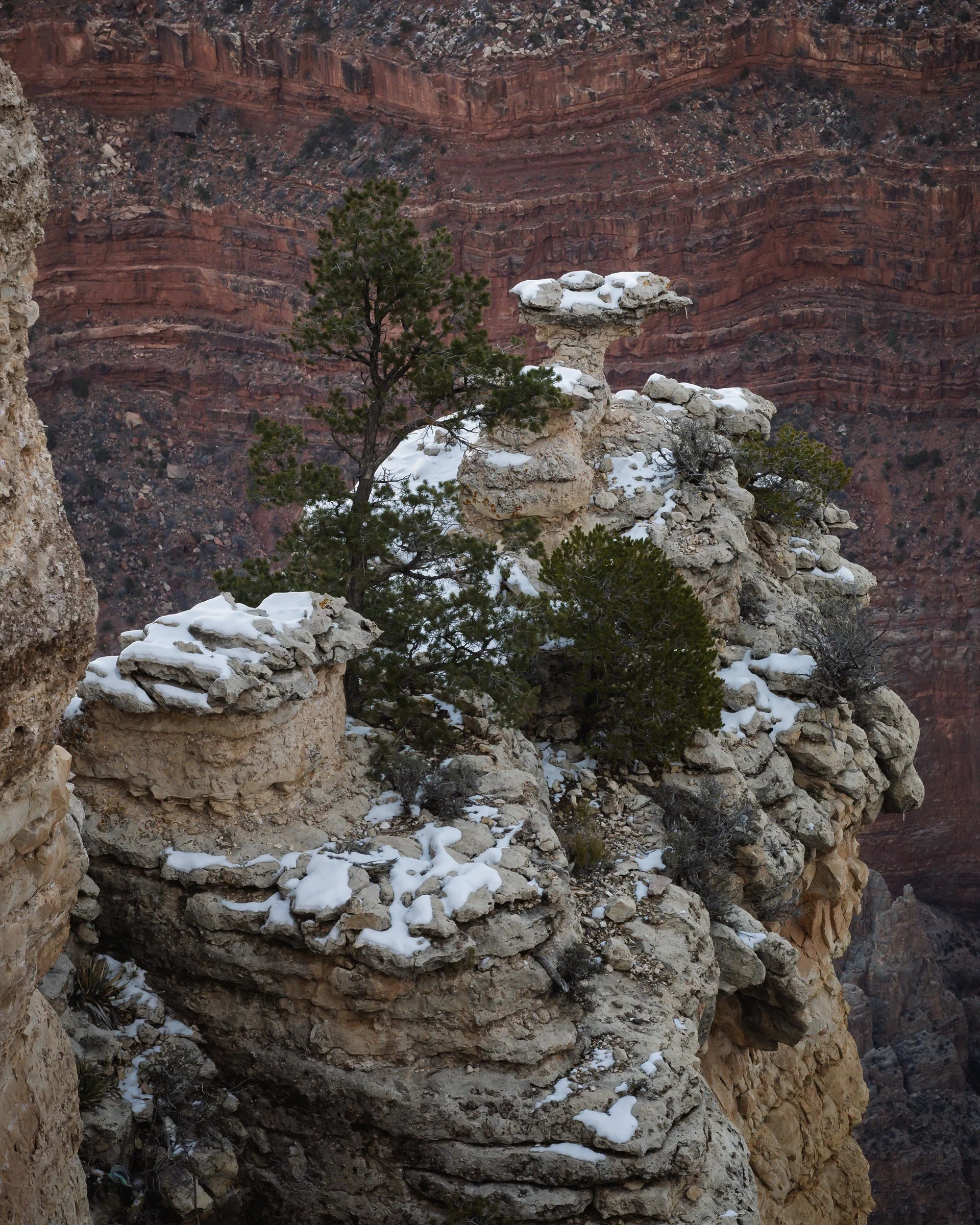 Grand Canyon National Park, Arizona, South Rim, January, 2026