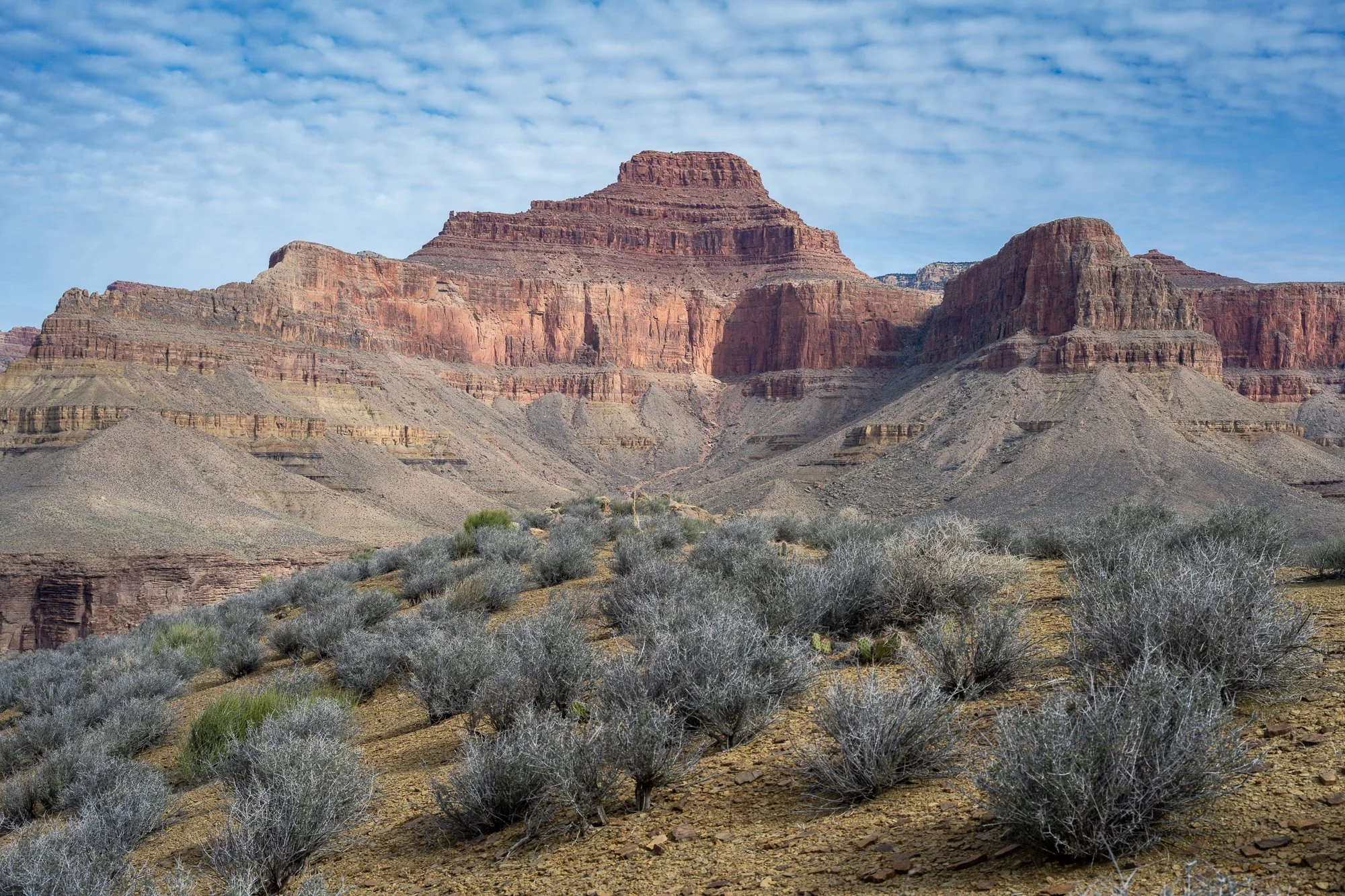 Grand Canyon National Park, Arizona