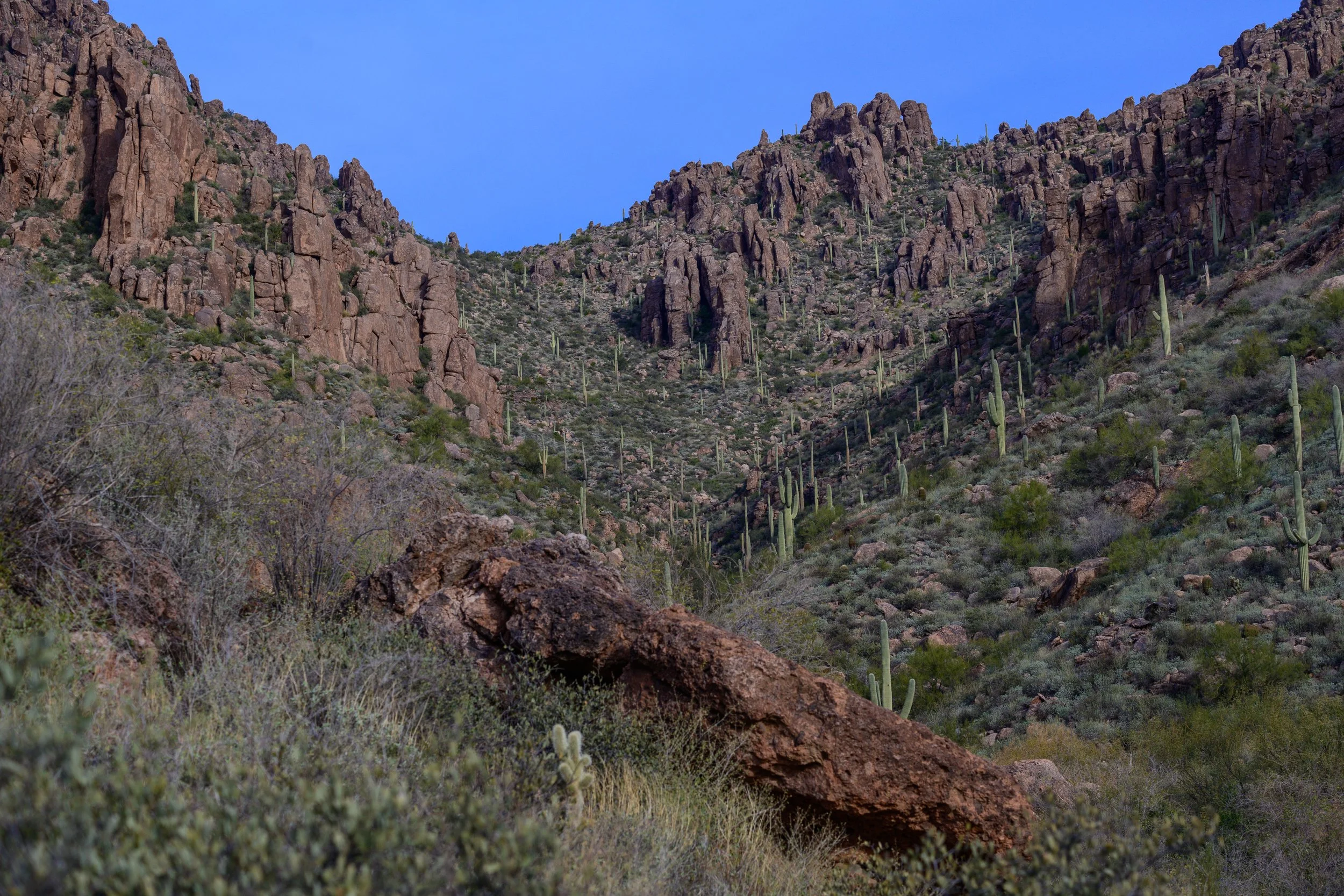 Superstitions  Wilderness, Arizona