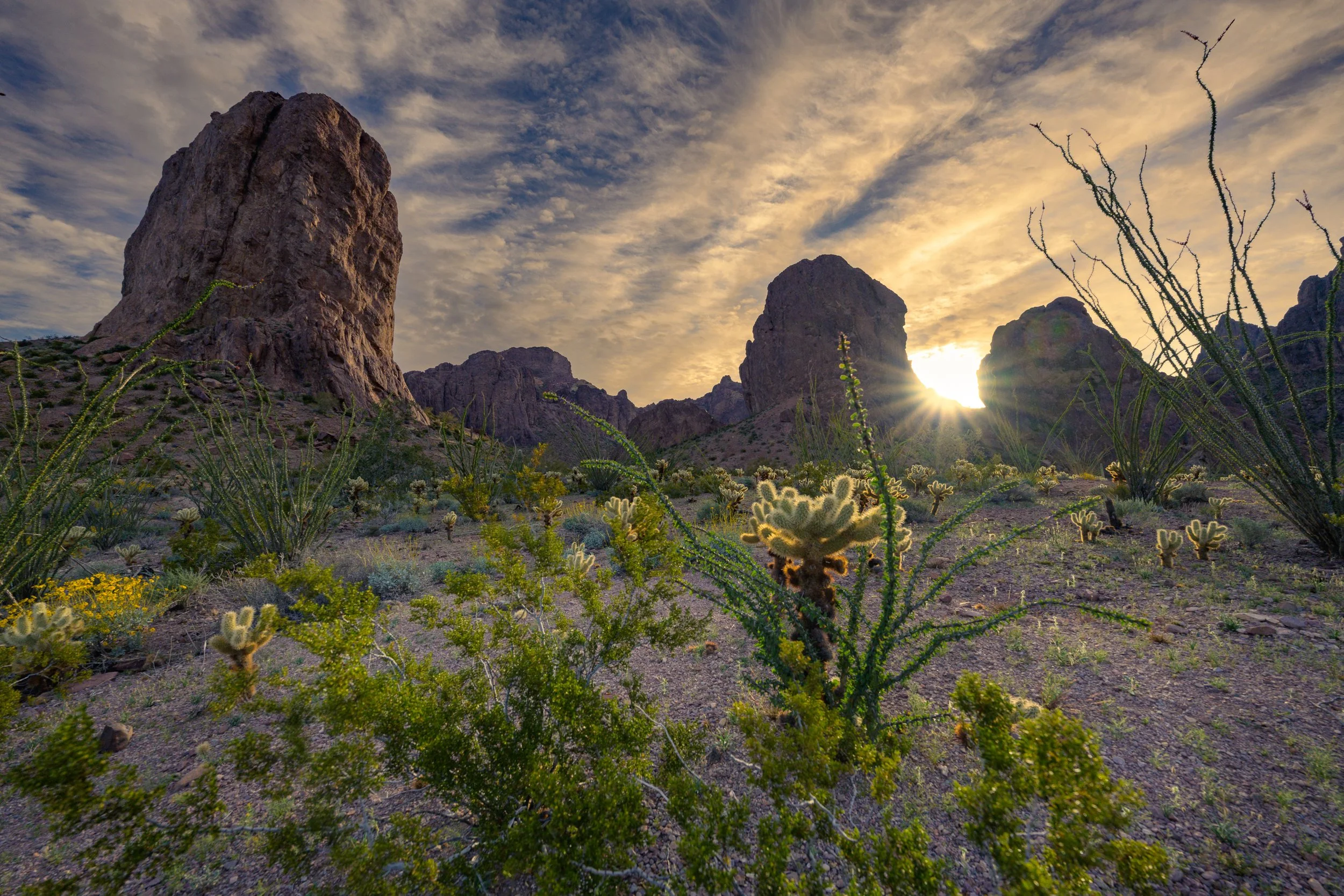 Kofa Wilderness, Arizona
