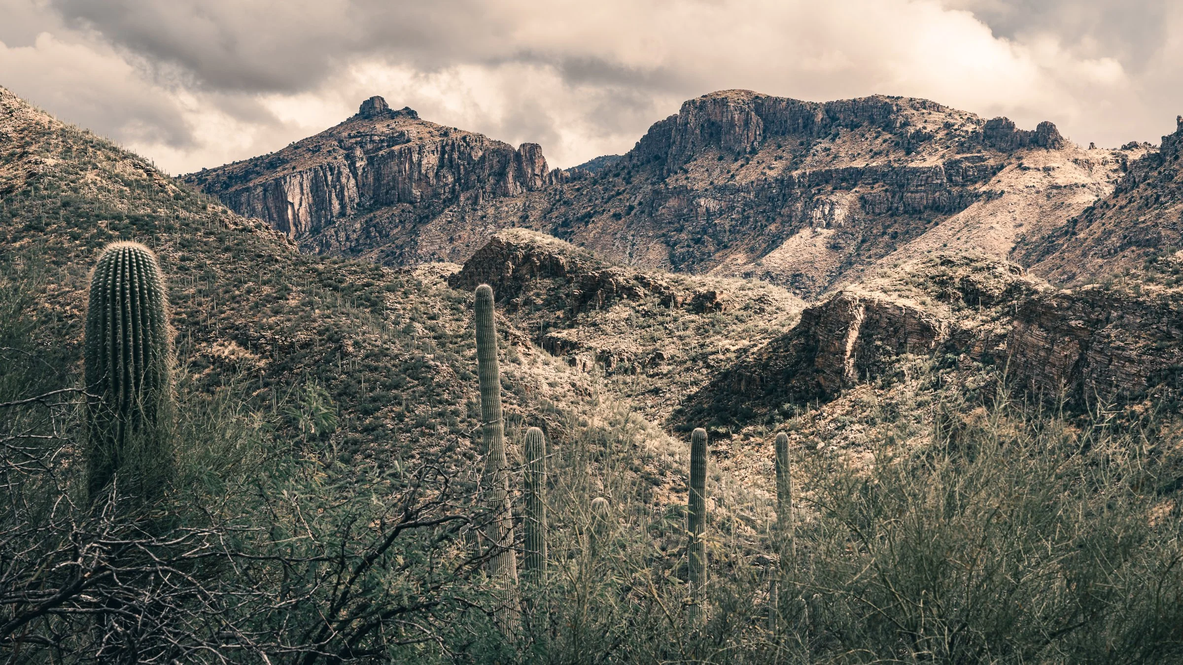 Sabino Canyon, Arizona