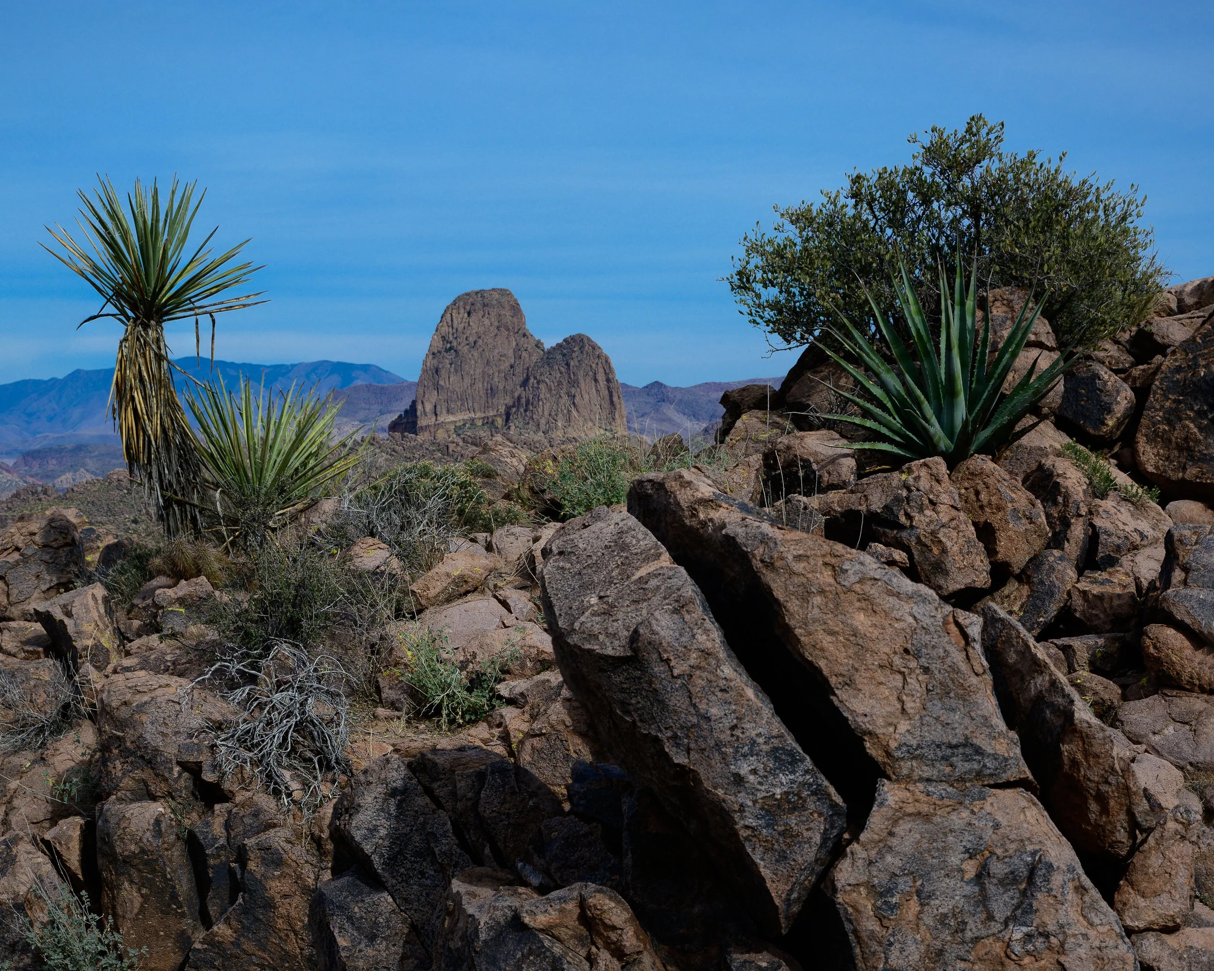 Weavers Needle, Superstitions  Wilderness, Arizona