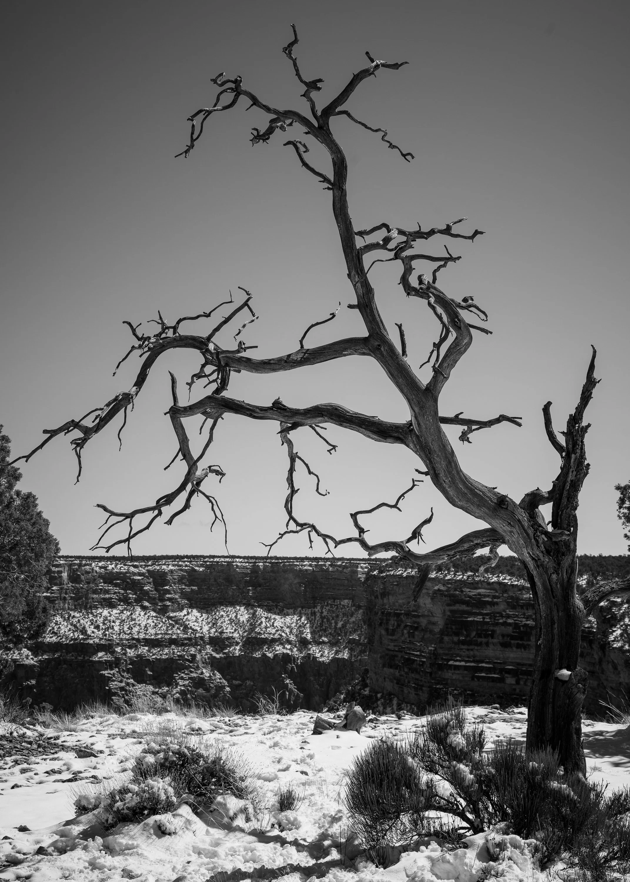 Rim Trail, South Rim, Grand Canyon, Arizona