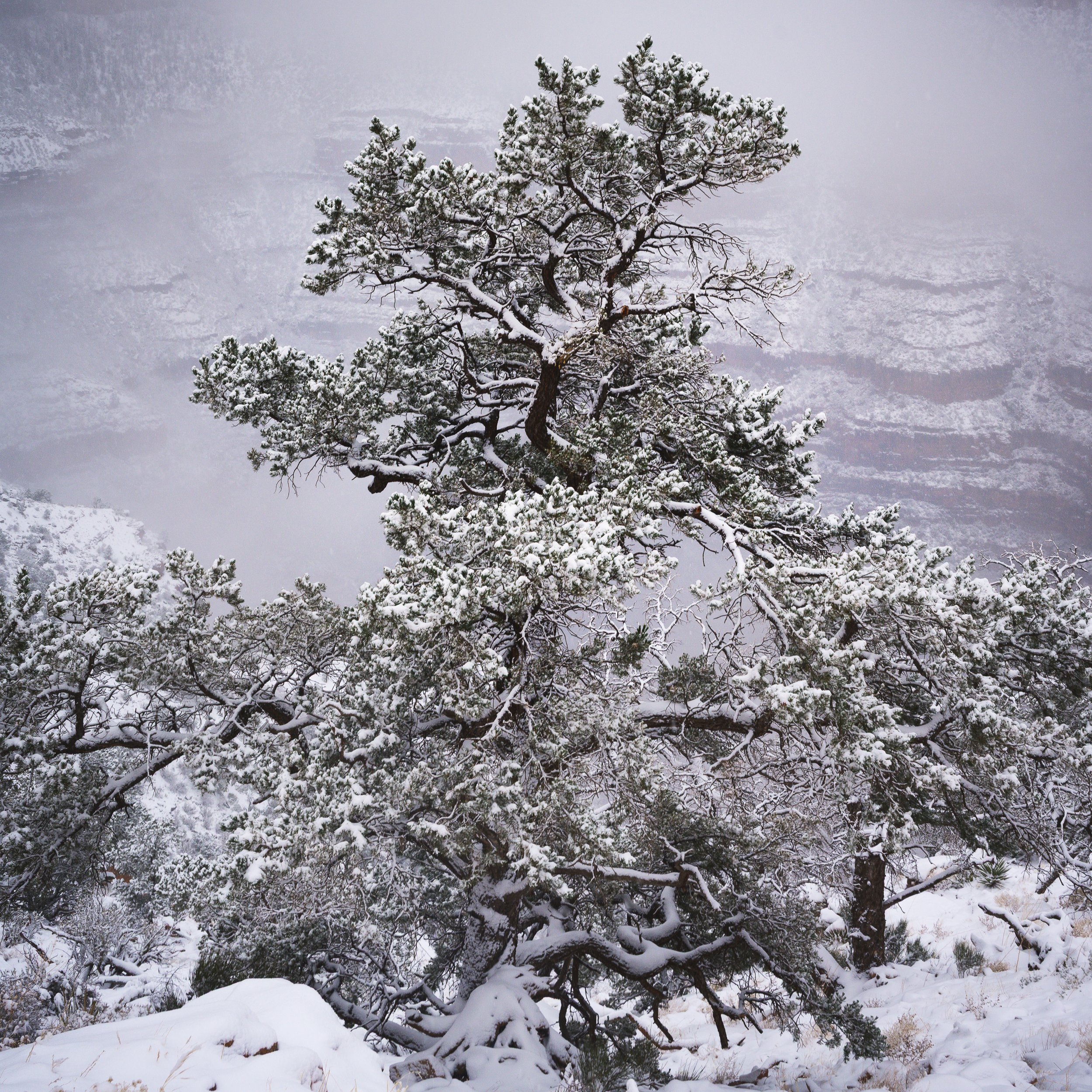 Winter, South Kaibab Trail, Grand Canyon, Arizona