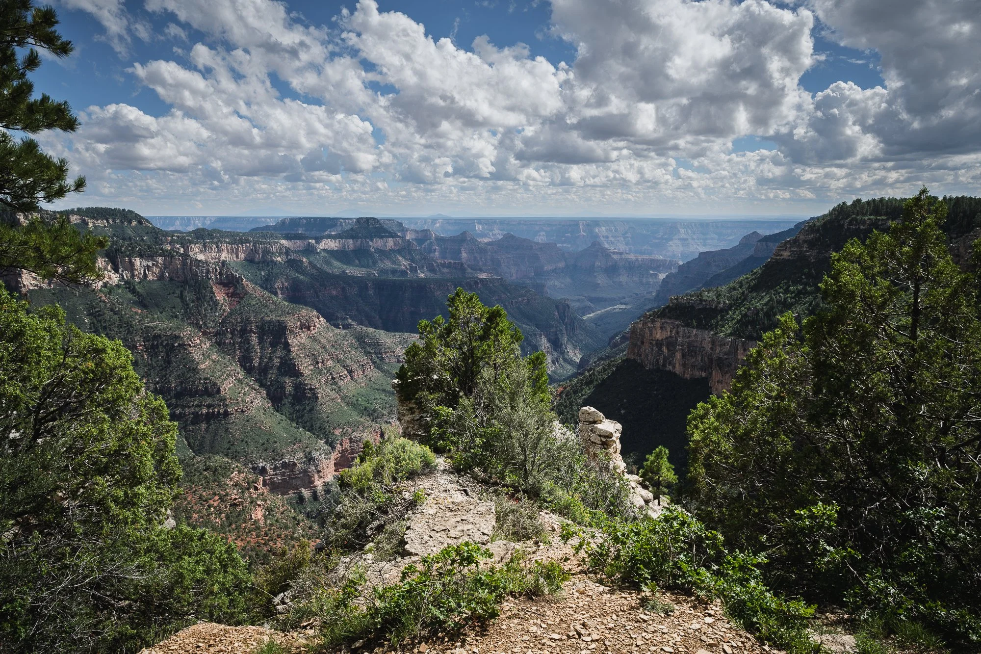North Rim, Grand Canyon National Park, Arizona