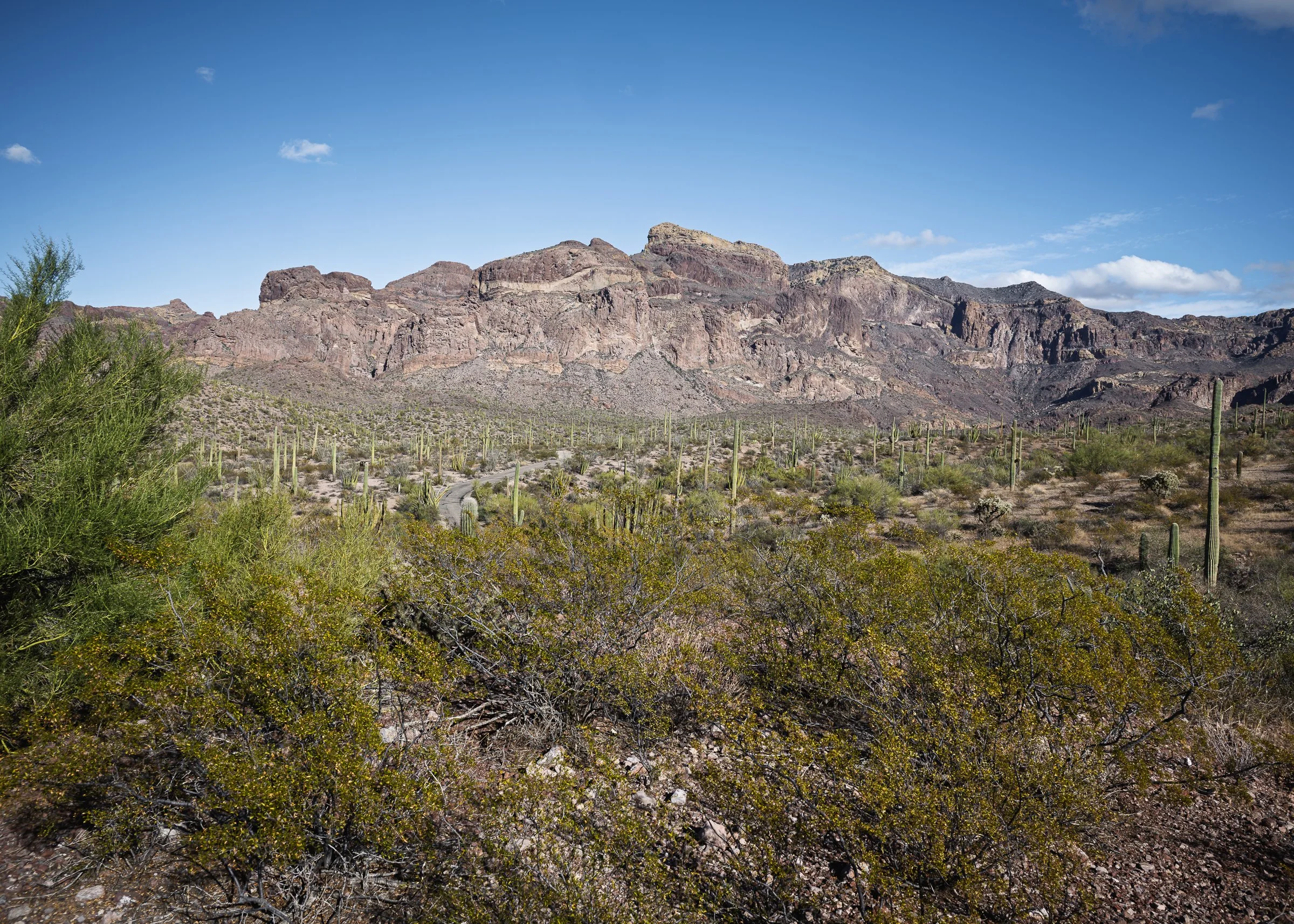 Organ Pipe Cactus National Monument, Arizona