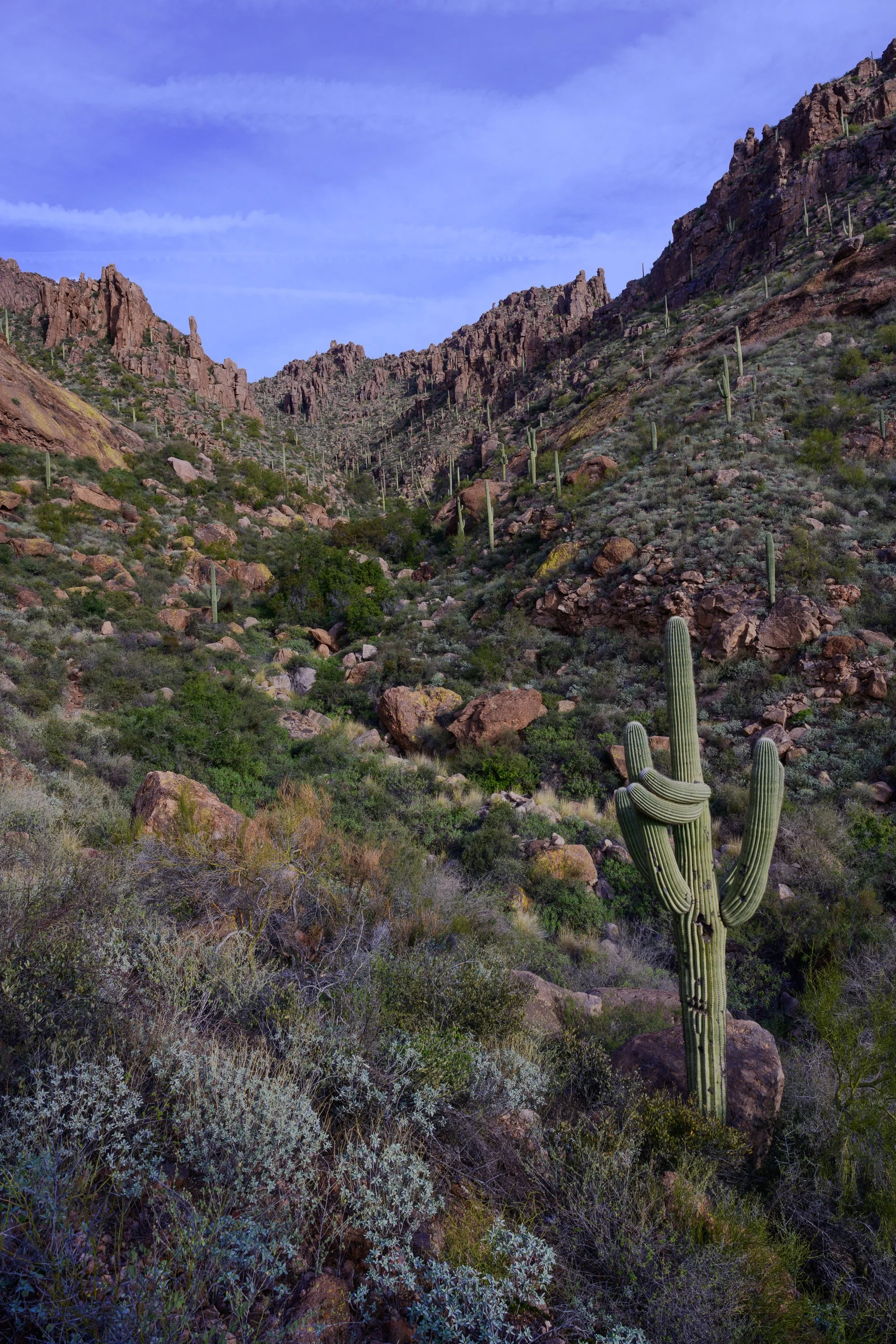 Superstitions  Wilderness, Arizona