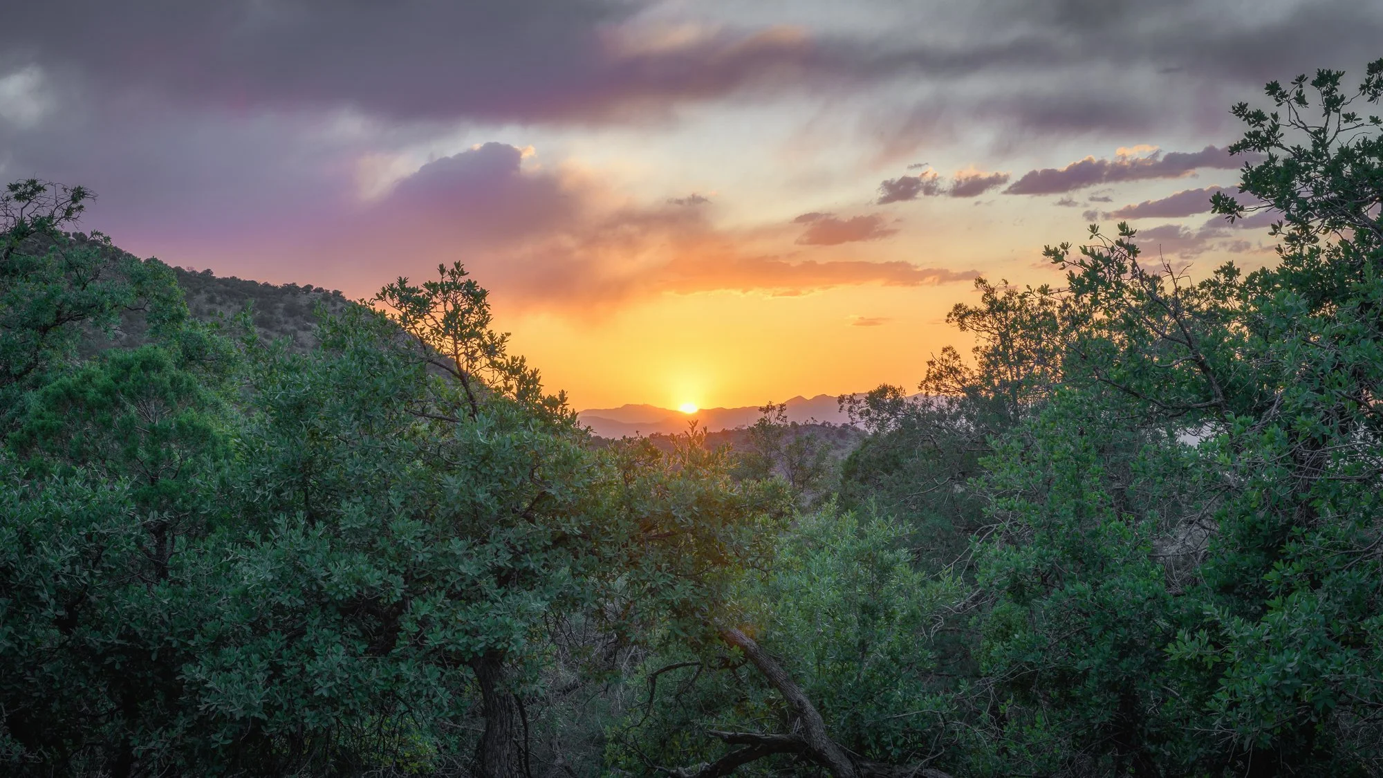 _DSC2939-HDR-Edit.jpg