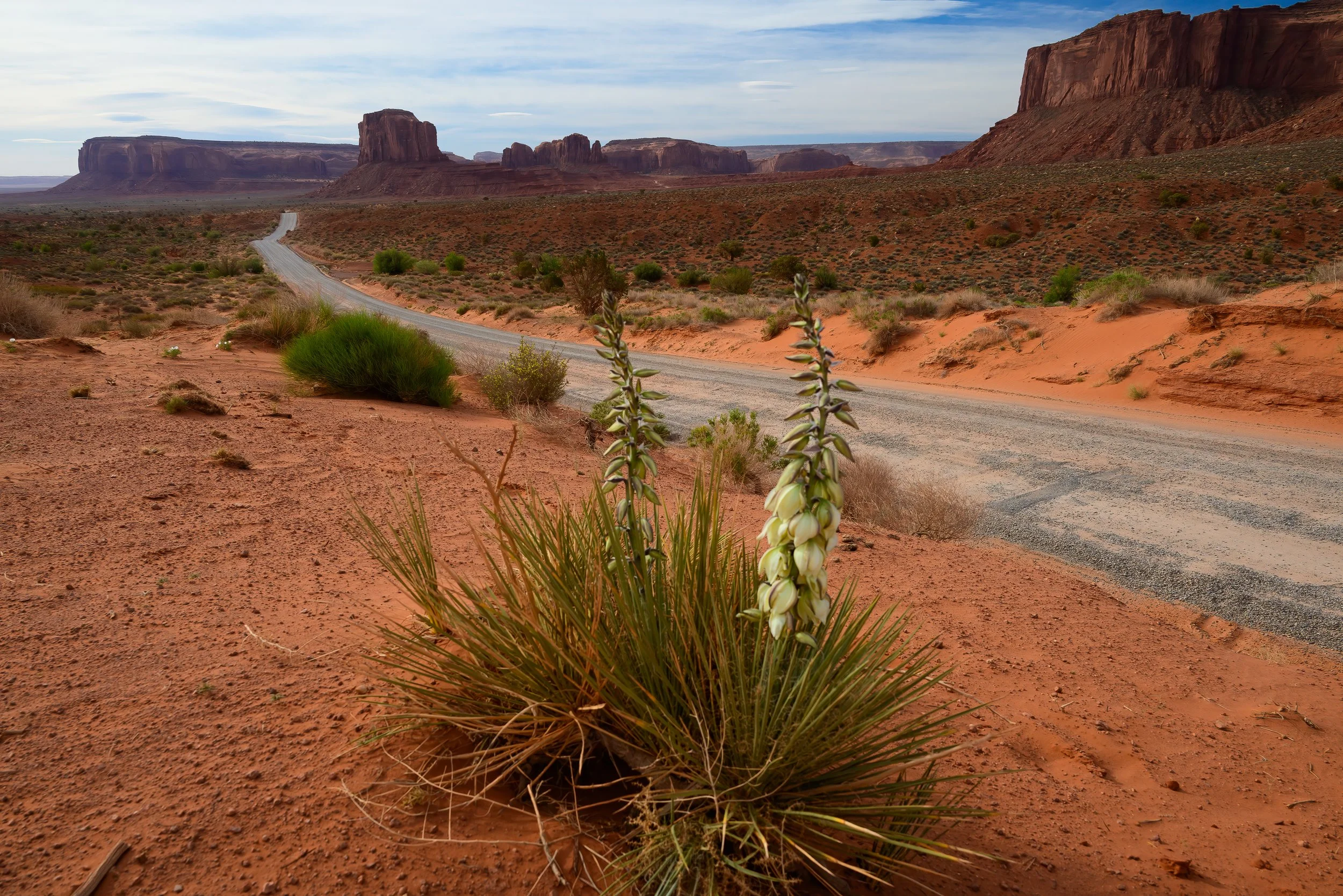 Monument Valley, Arizona