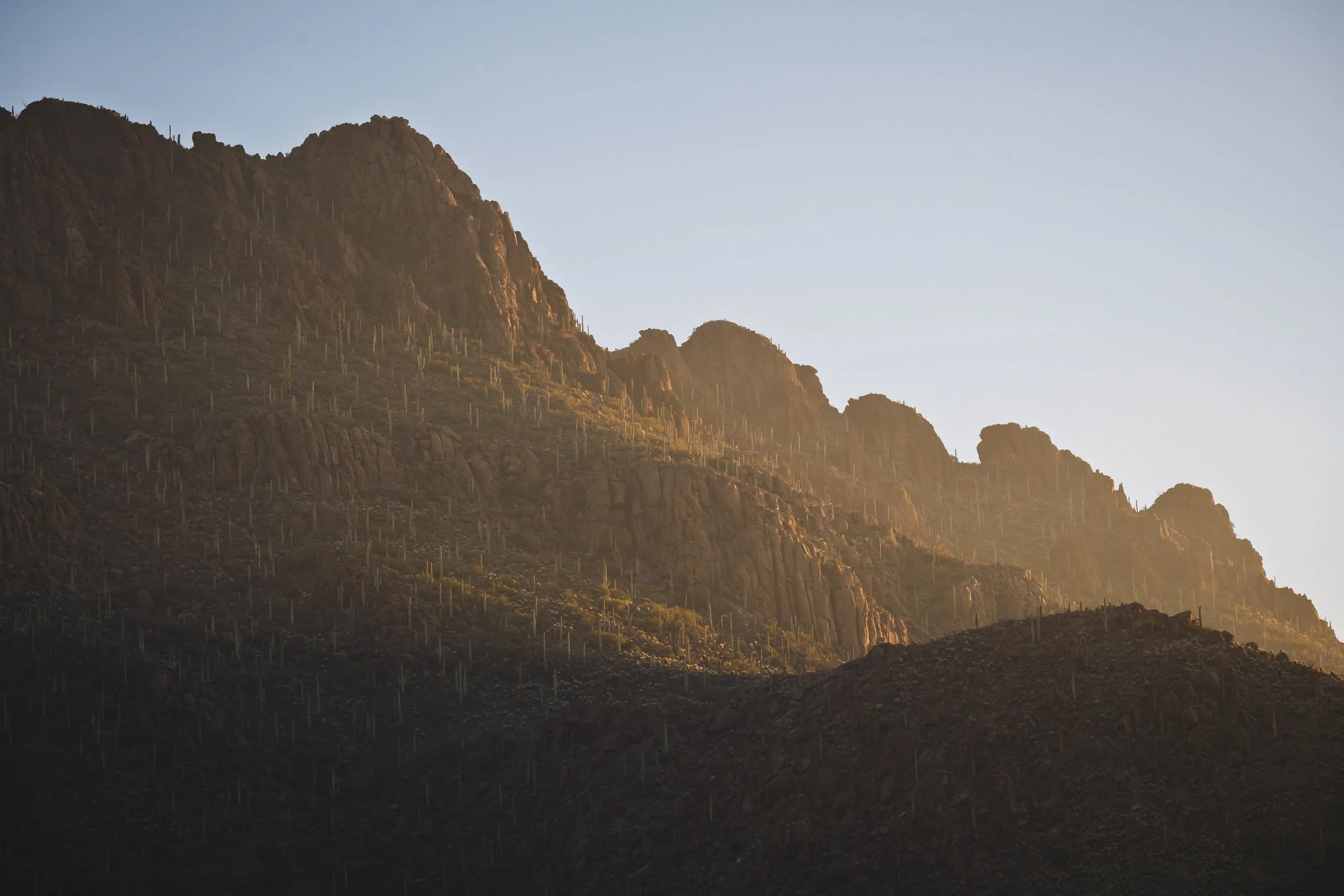 Tucson Mountain Park, Arizona