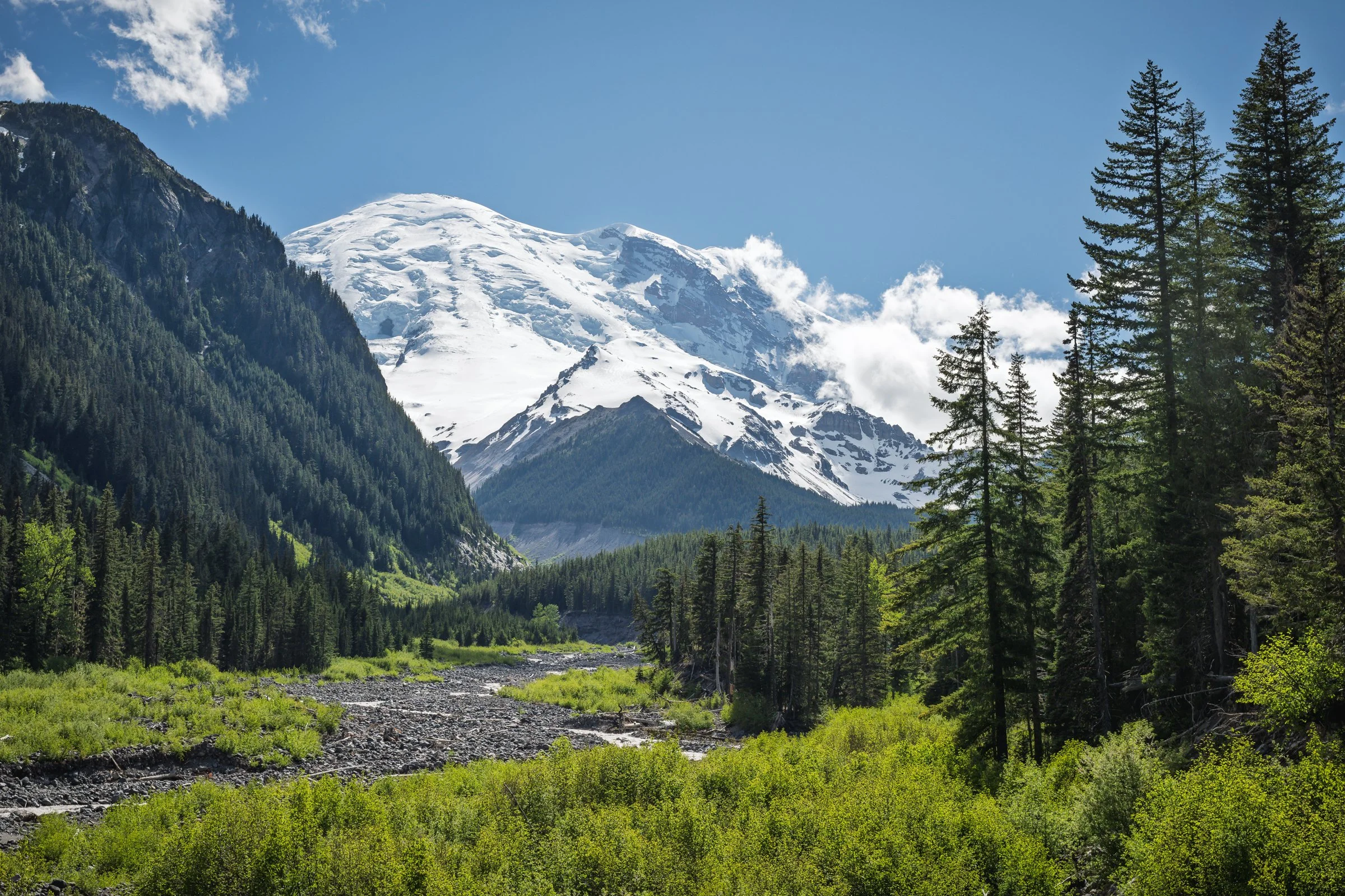 Mt Rainier behind the White River, Mt. Rainier National Park Washington
