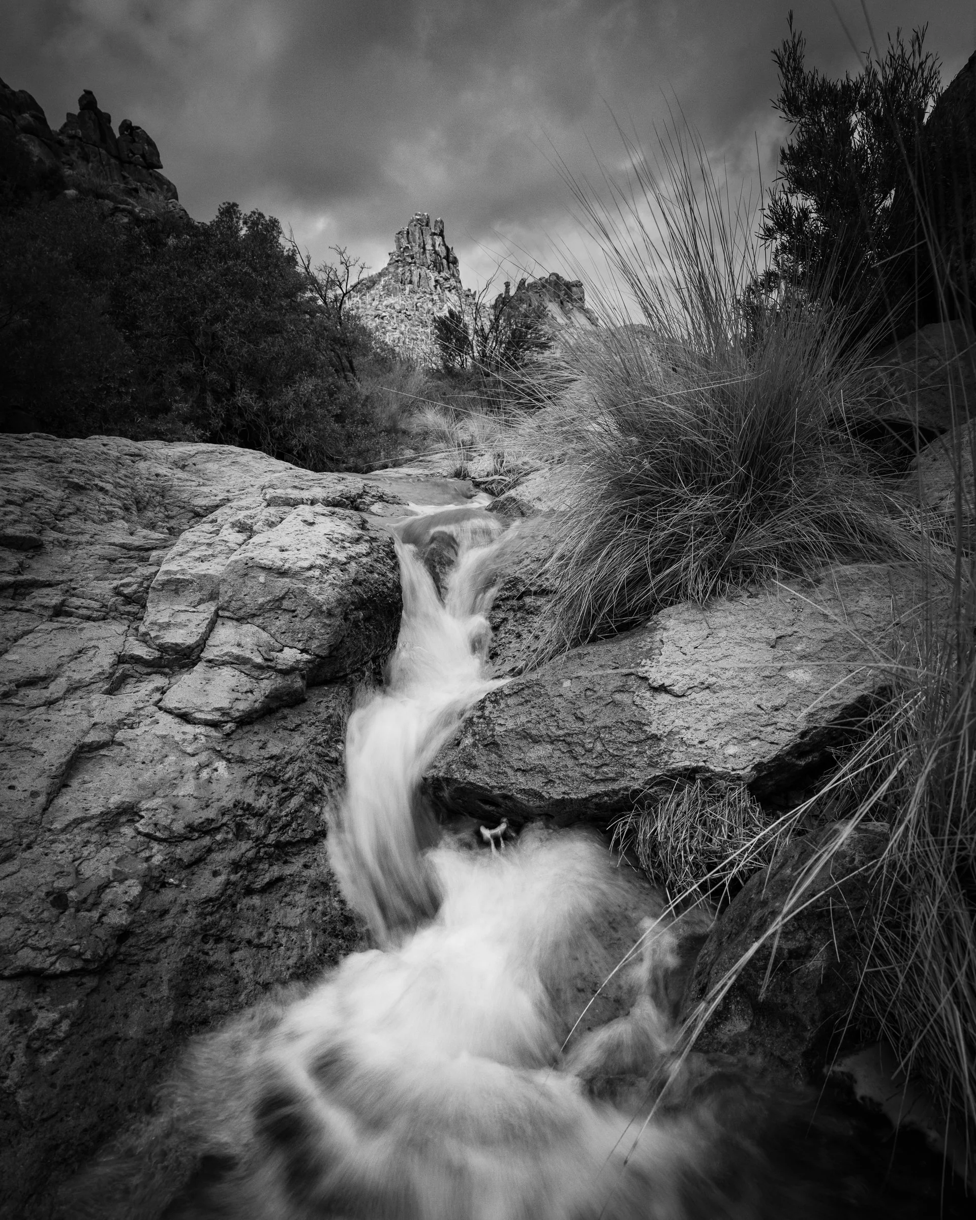 Superstition Wilderness, Arizona, Black and white photo of a flowing stream surrounded by rocks and desert vegetation with mountains and cloudy sky in the background.