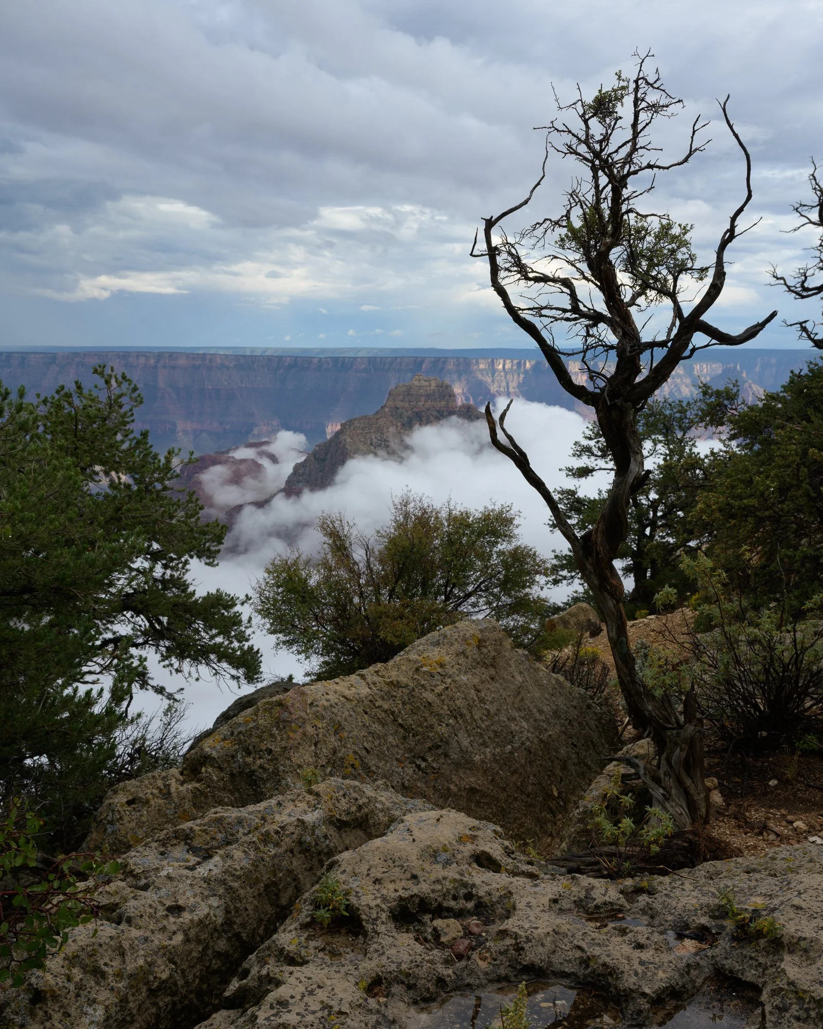 North Rim, Grand Canyon National Park, Arizona