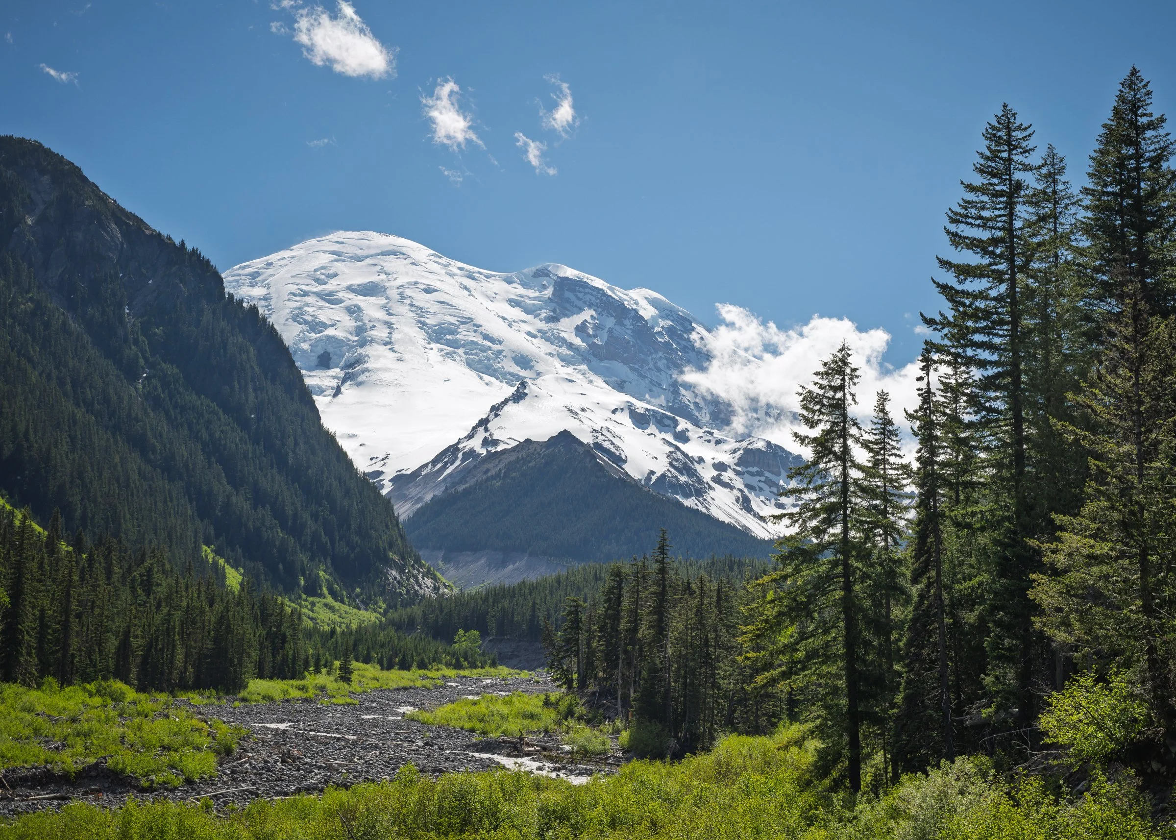 Mt Rainier behind the White River, Mt. Rainier National Park Washington