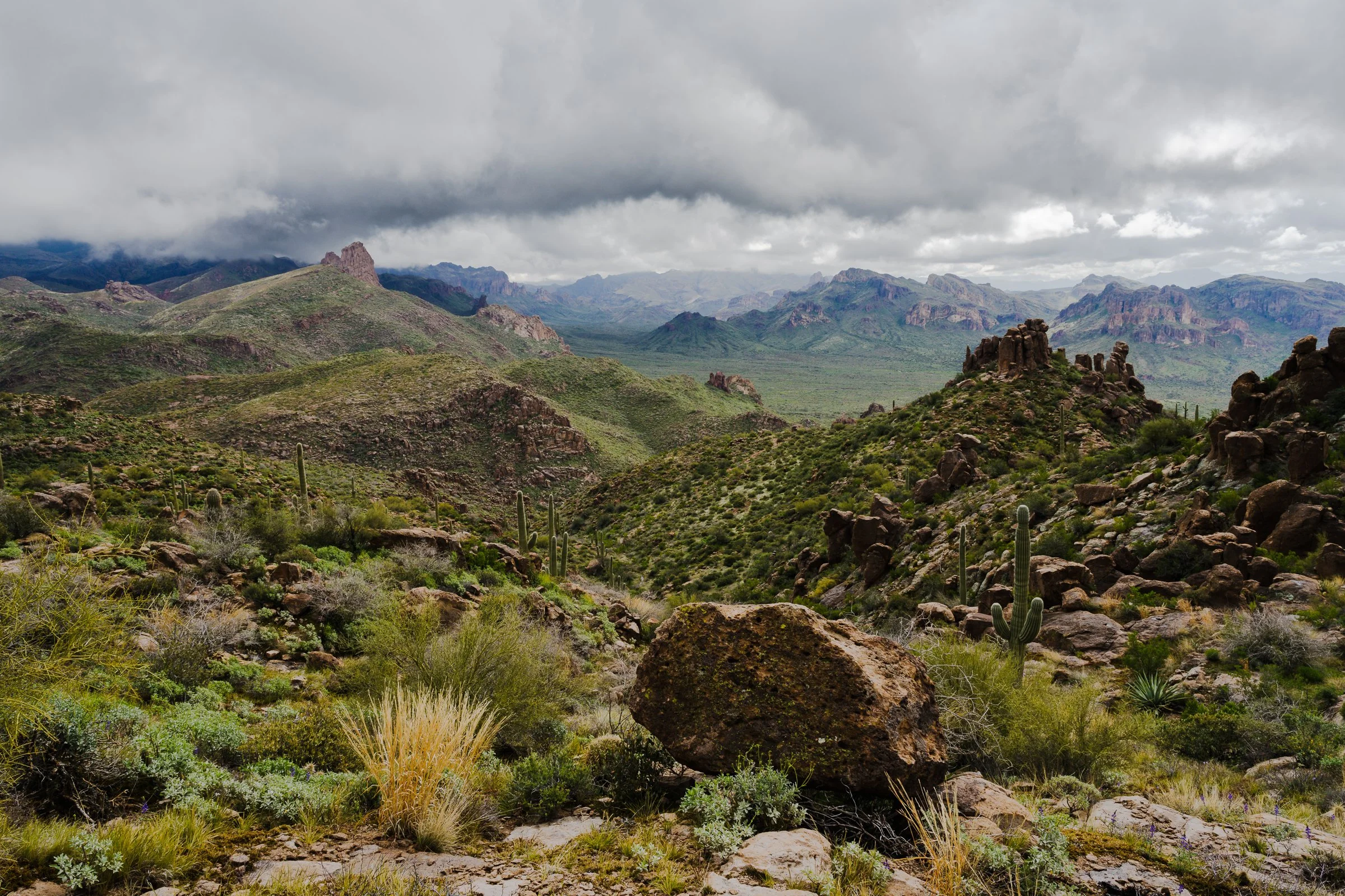 Superstitions Wilderness, Arizona