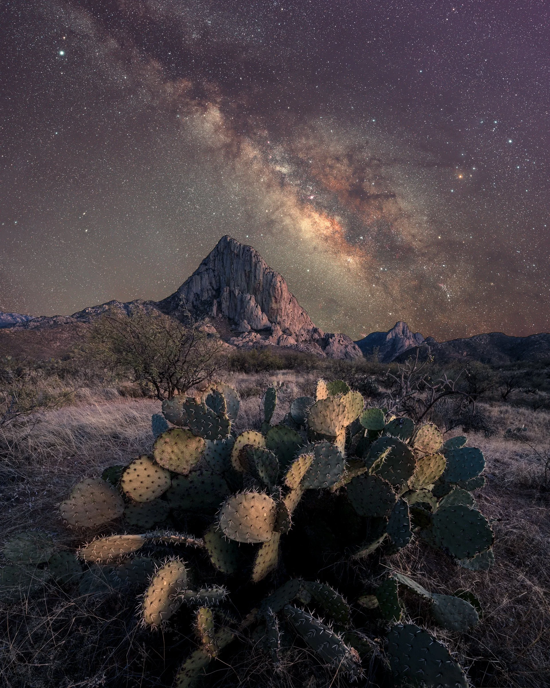 Milky Way, Elephant Head, Arizona