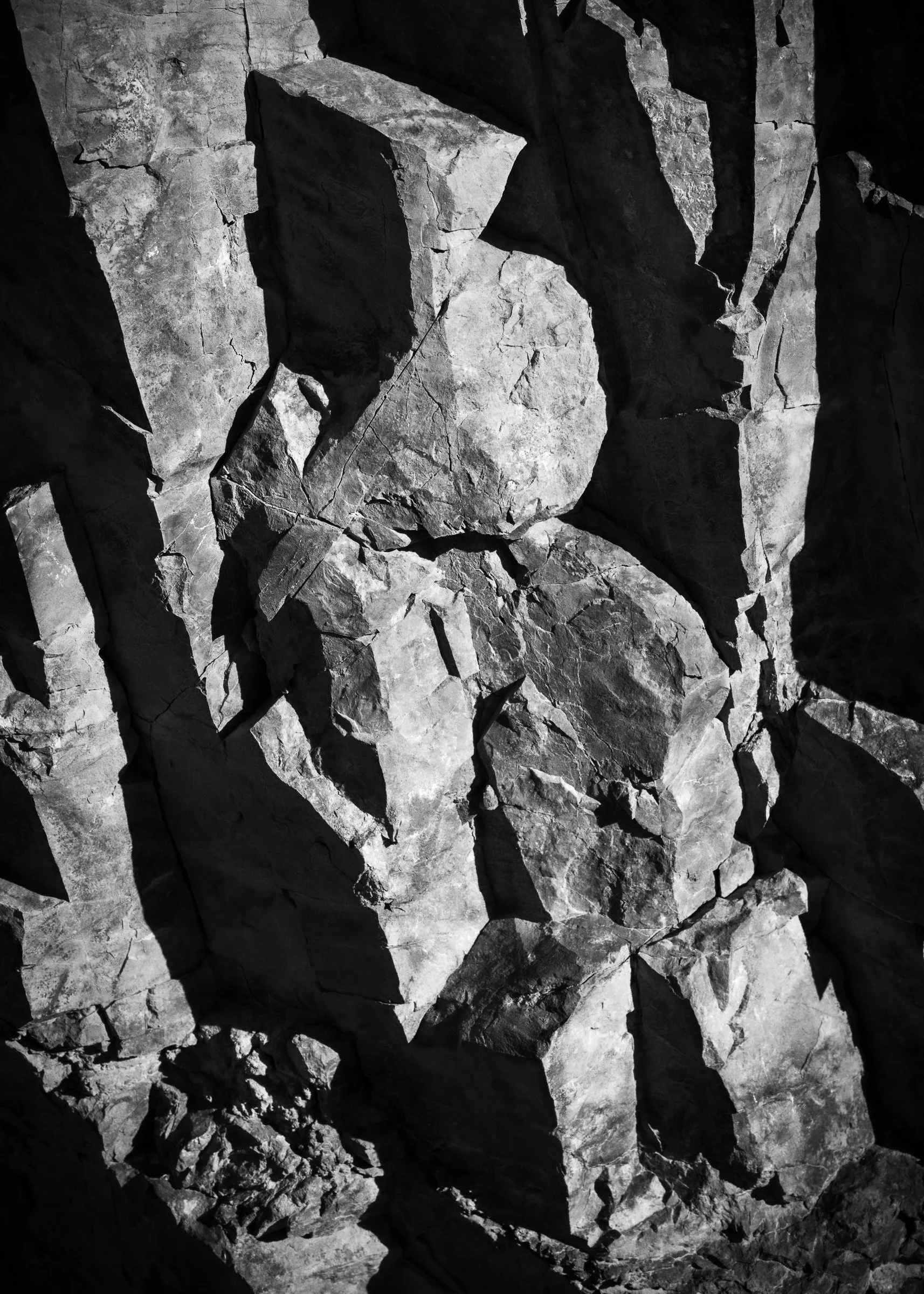 Saguaro National Park, Arizona