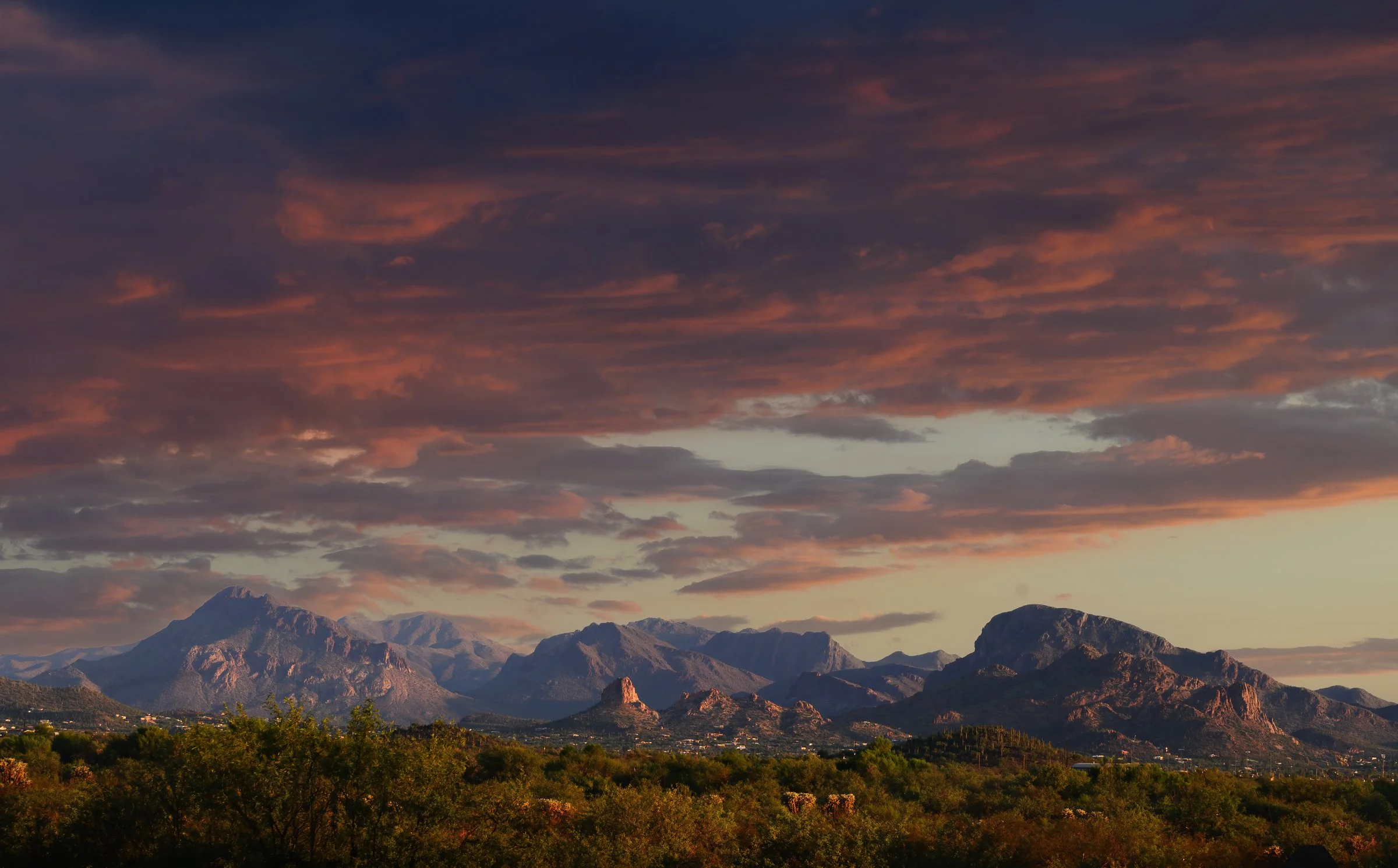 Tucson Mountain Park, Arizona