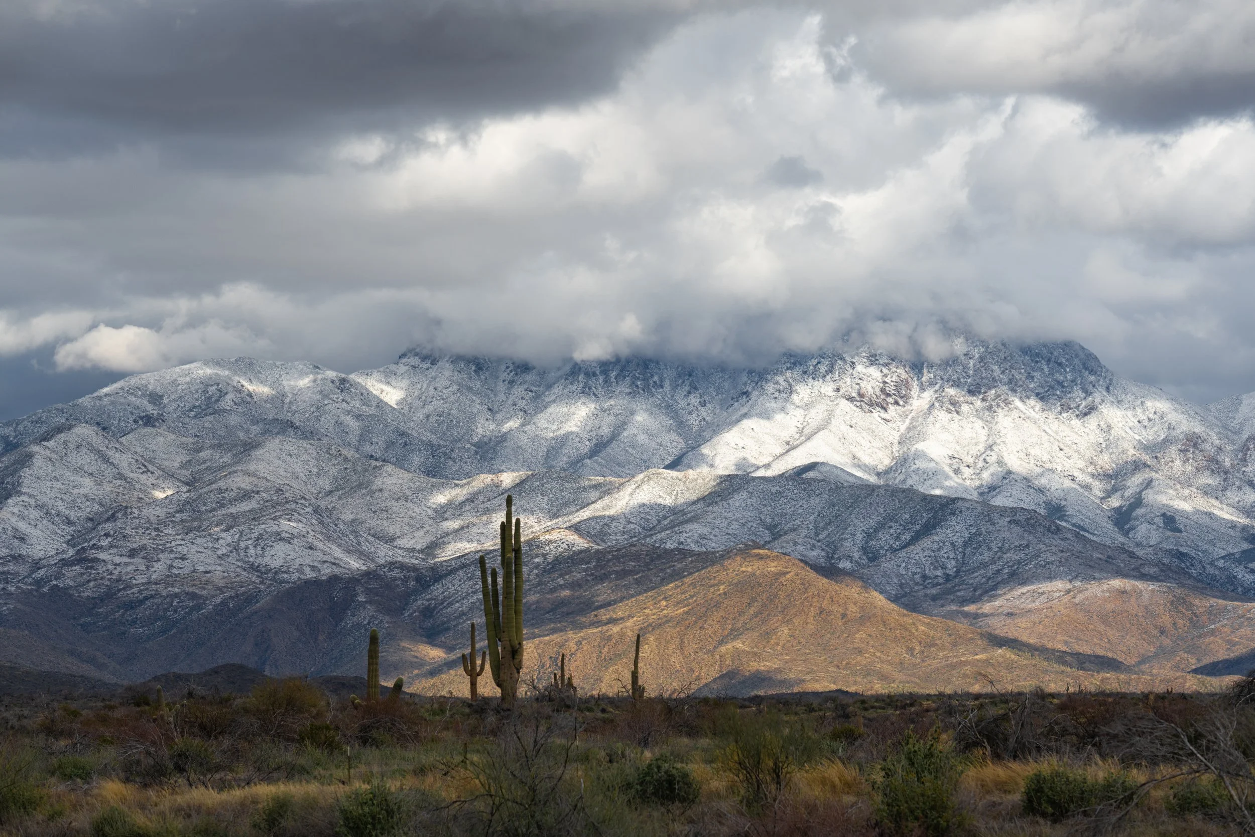 Superstition Wilderness, Arizona