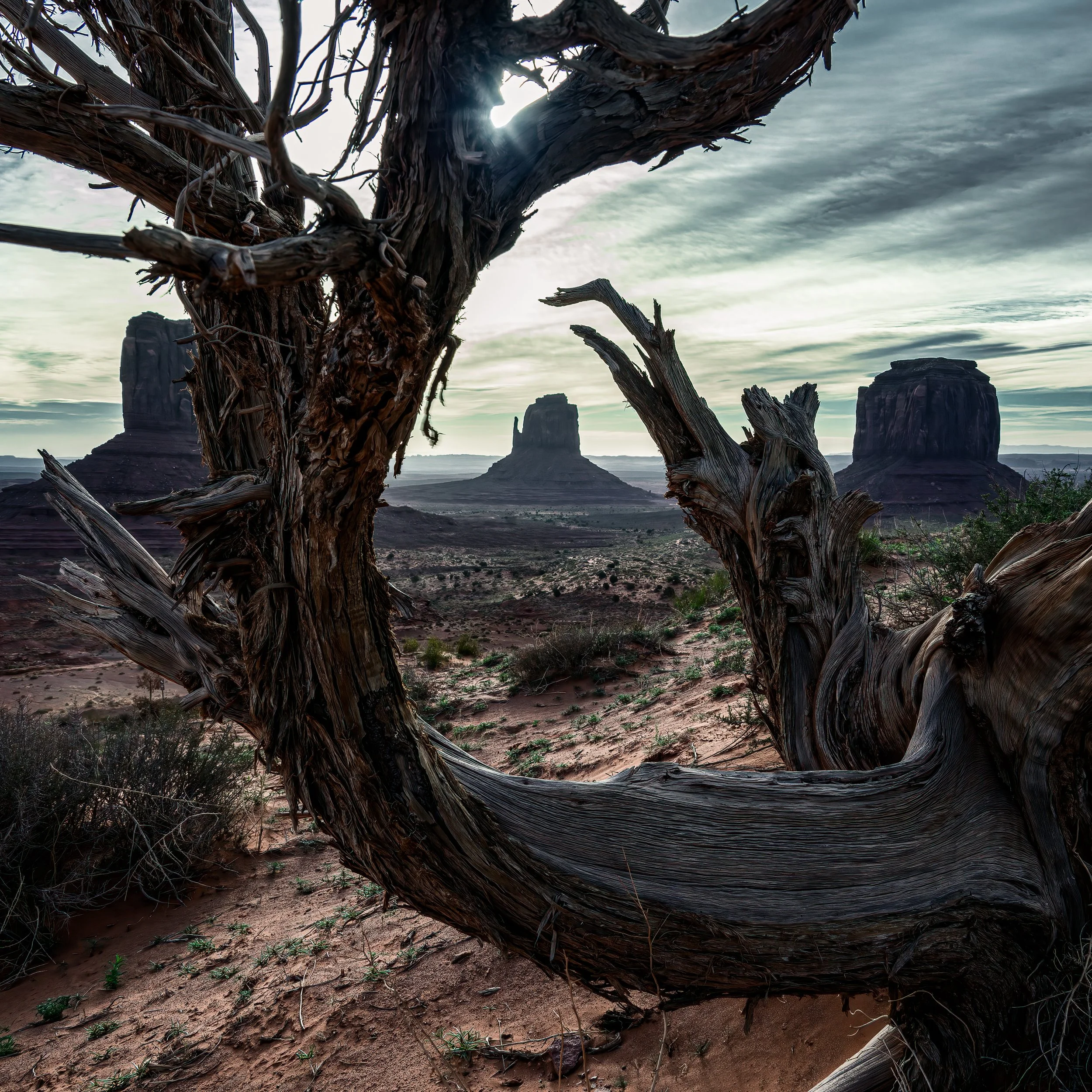 Monument Valley, Arizona