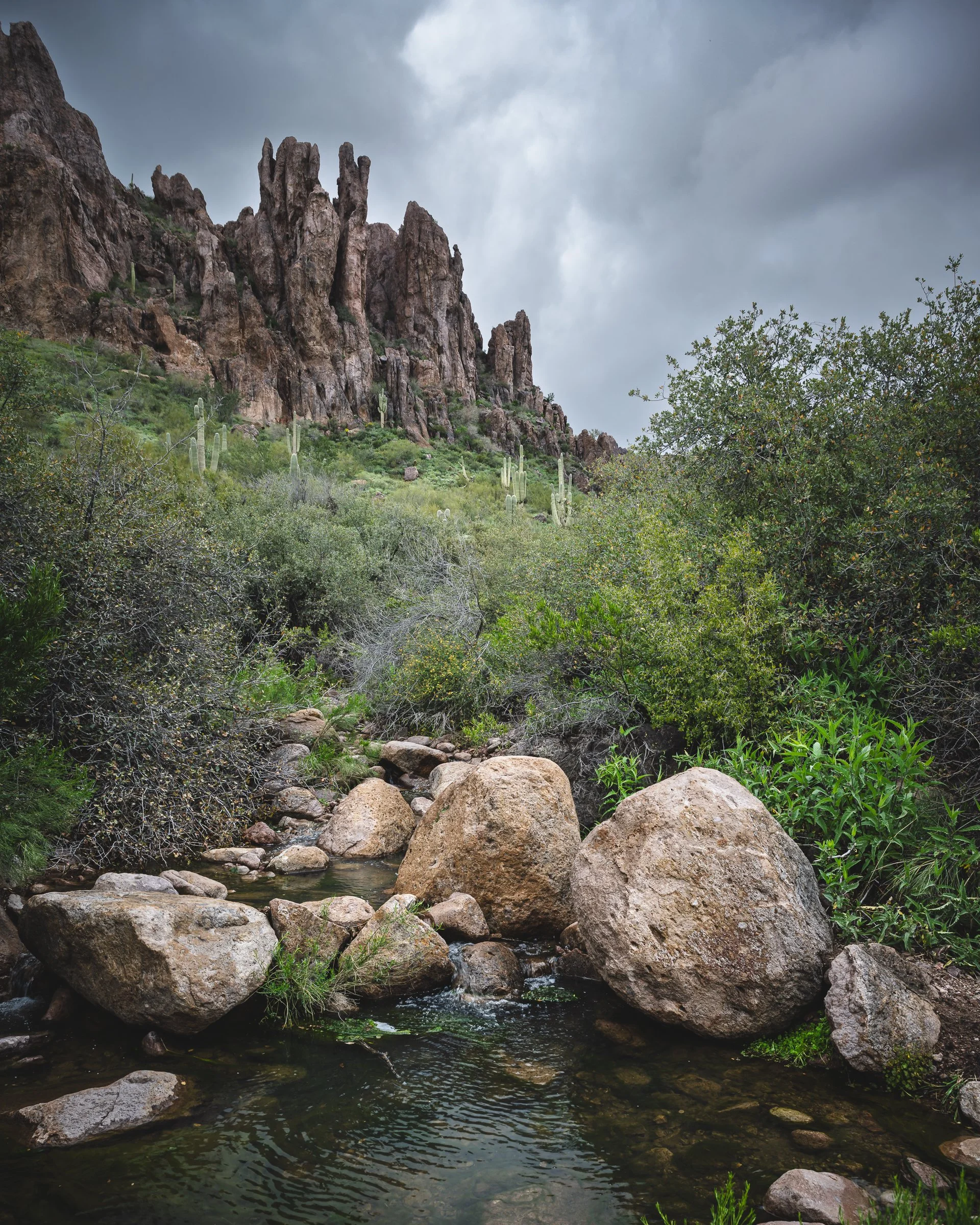 Superstition Wilderness, Arizona