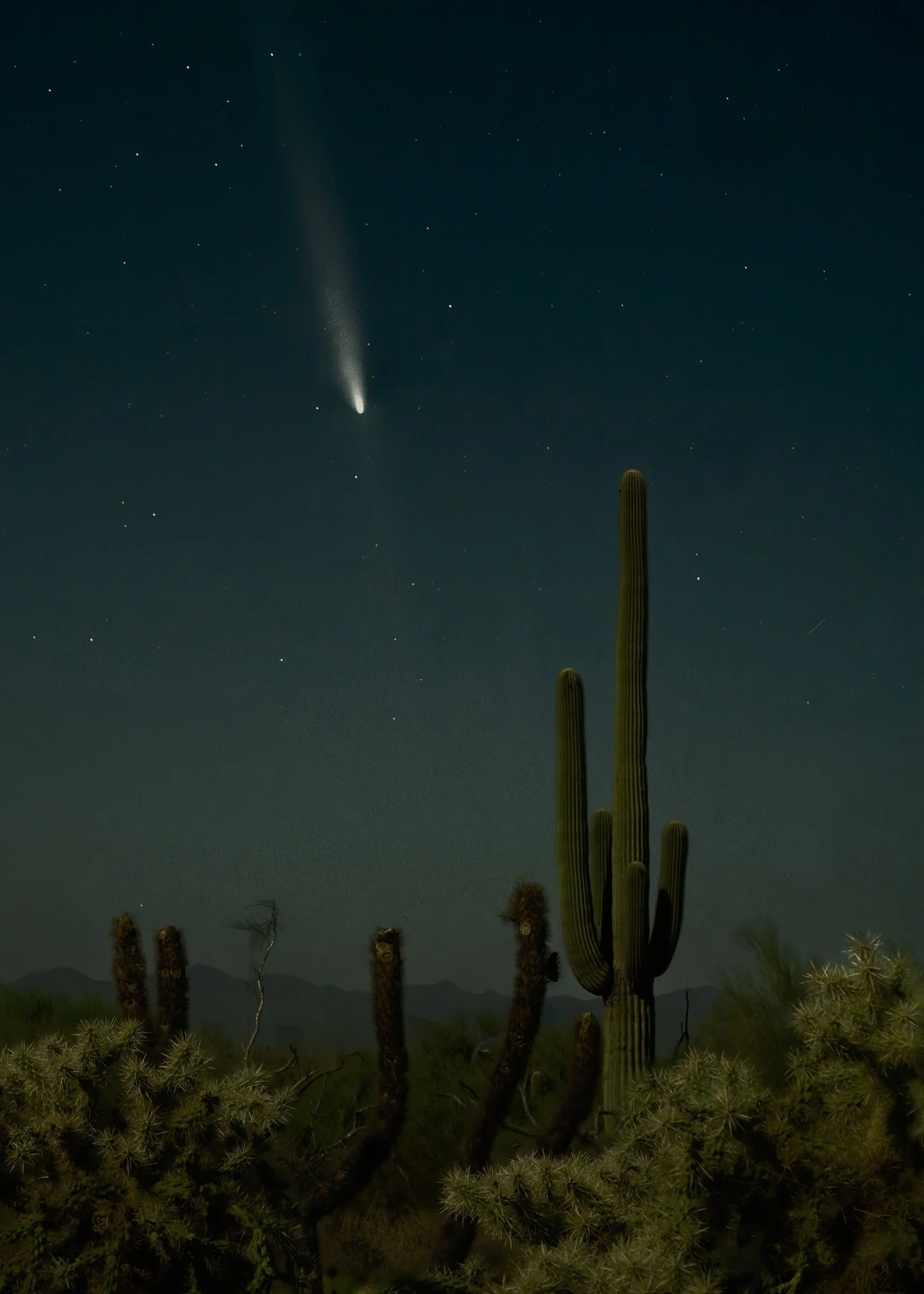 Comet, Tucson Mountain Park, Arizona