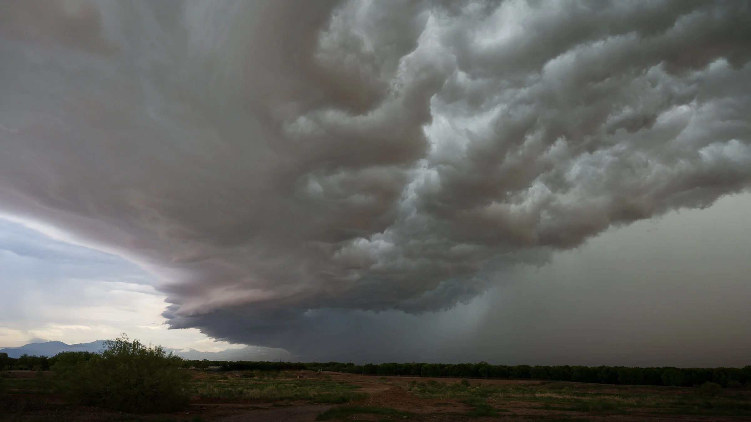 Sonoran Desert, Arizona