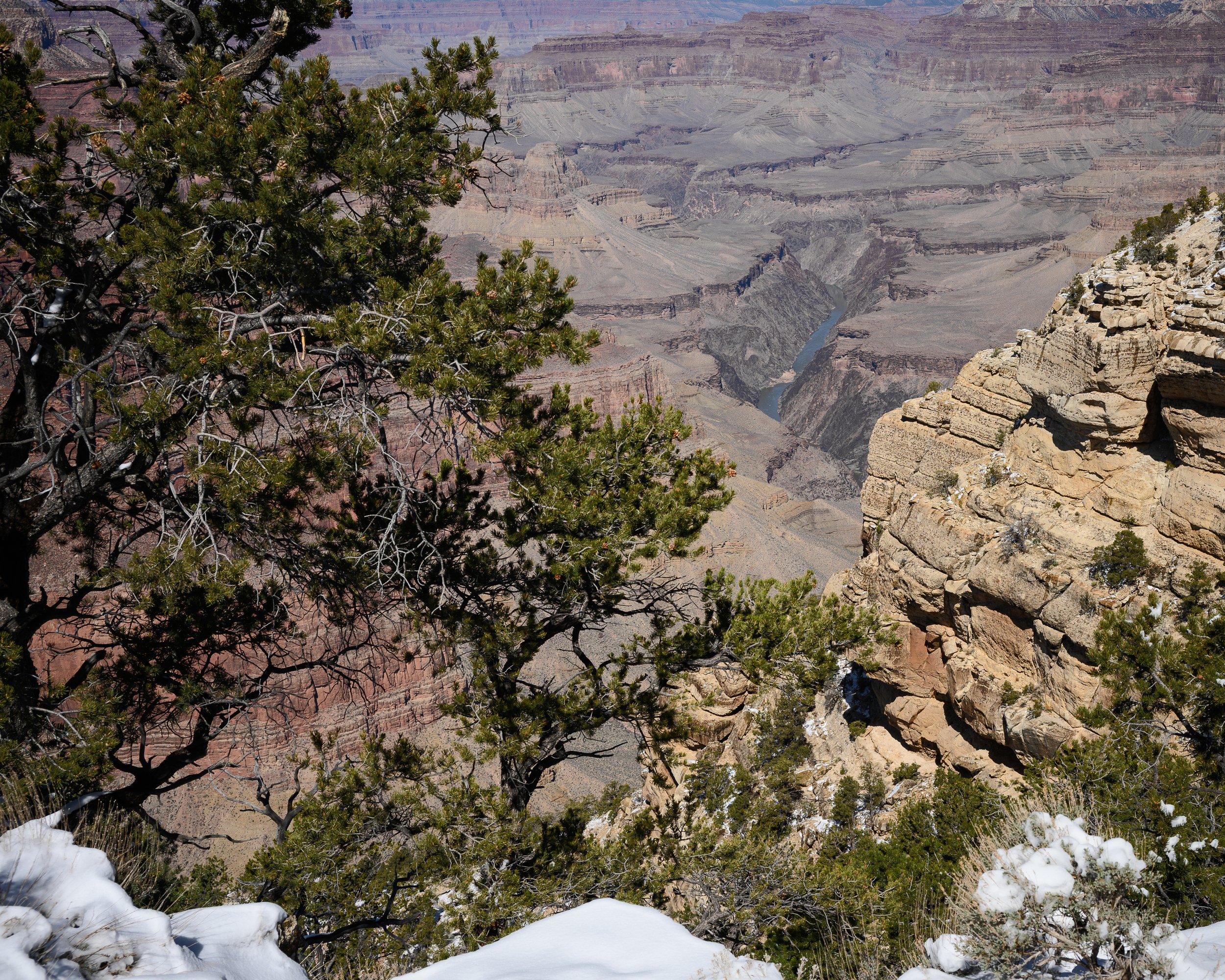 Rim Trail, South Rim, Grand Canyon, Arizona