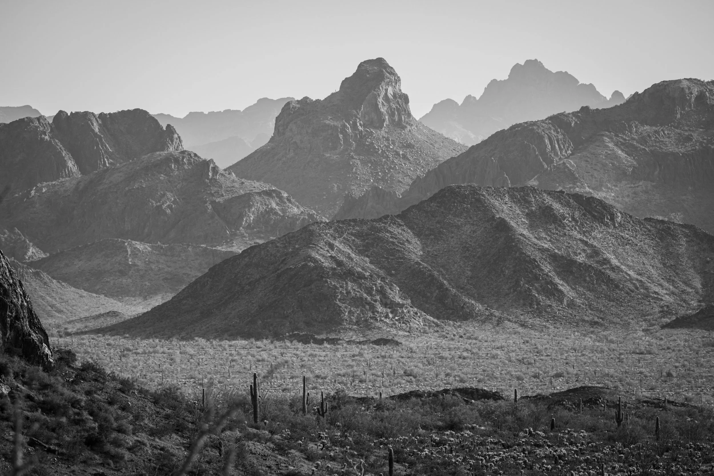 Kofa Wilderness, Arizona