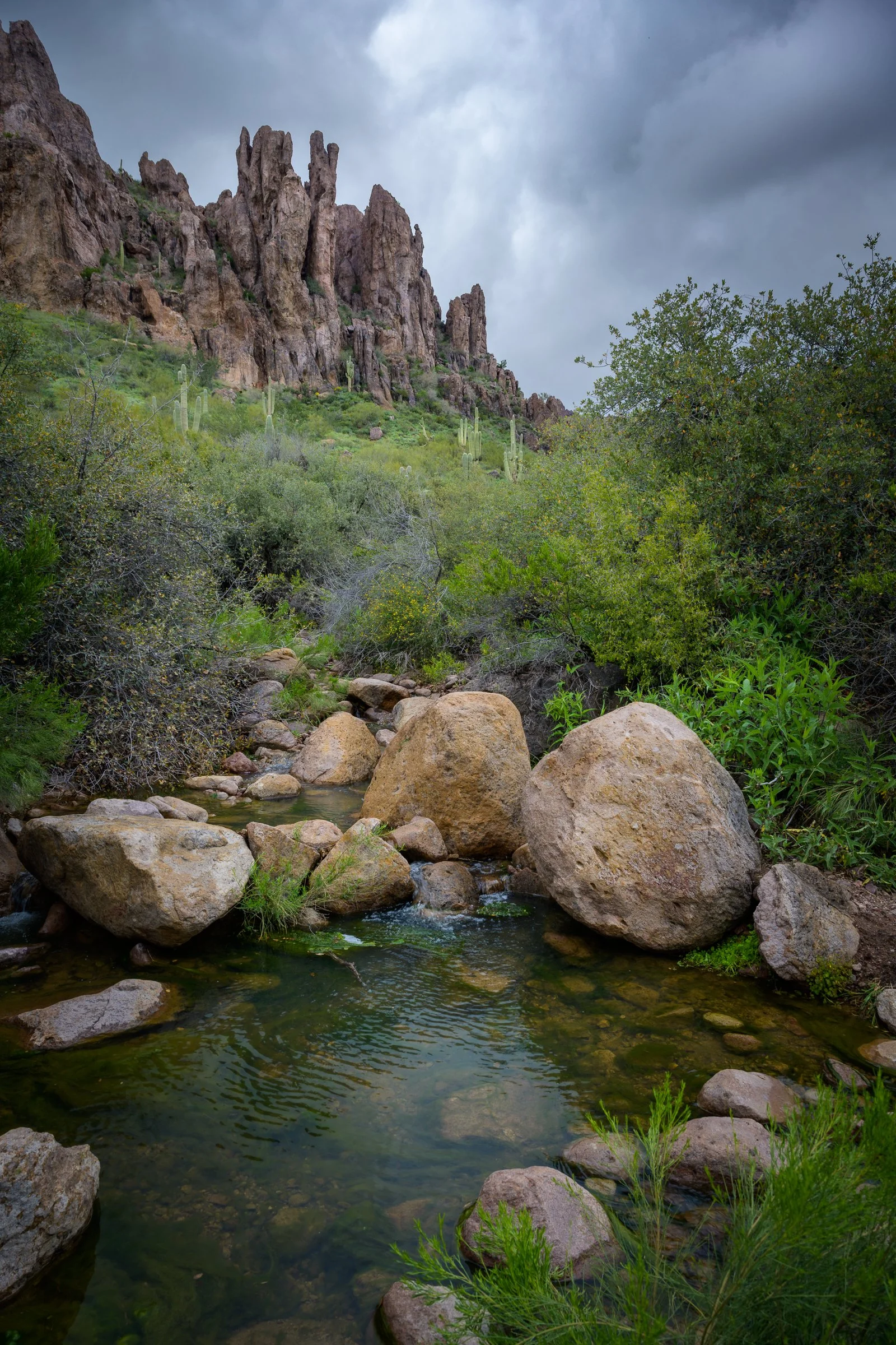 Superstitions Wilderness, Arizona