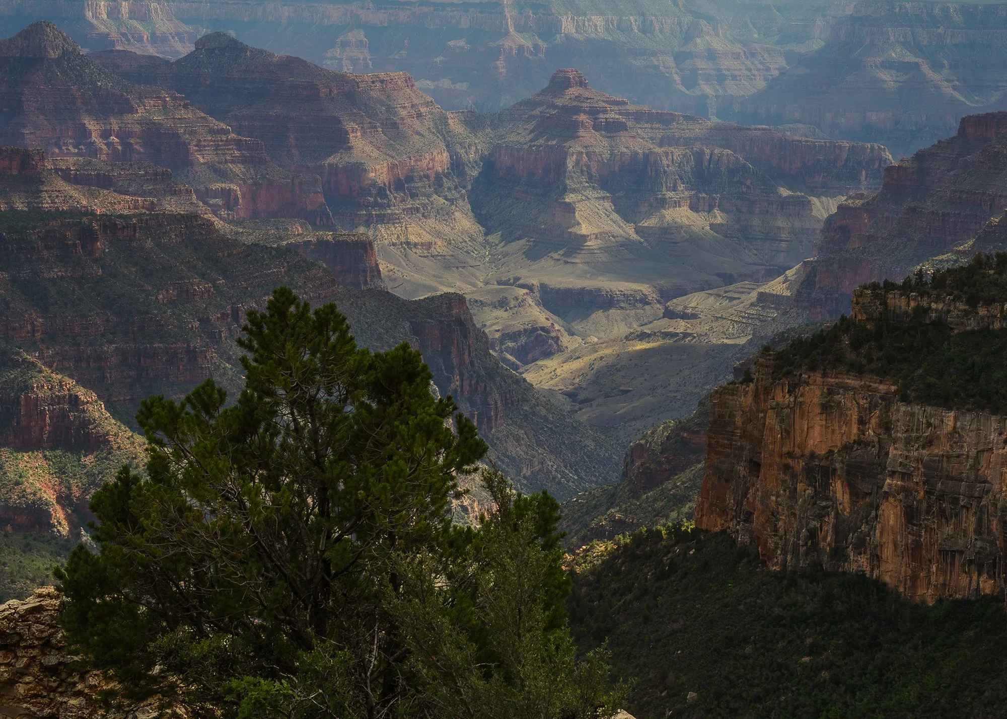 North Rim, Grand Canyon National Park, Arizona