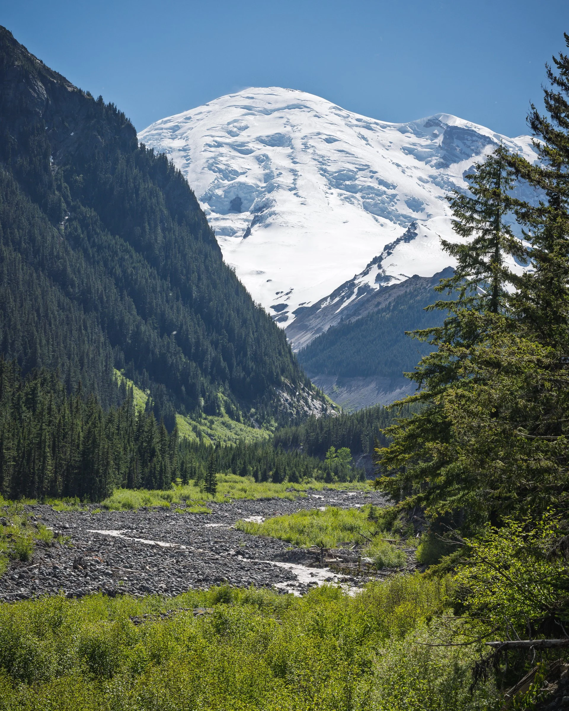 Mt Rainier behind the White River, Mt. Rainier National Park Washington