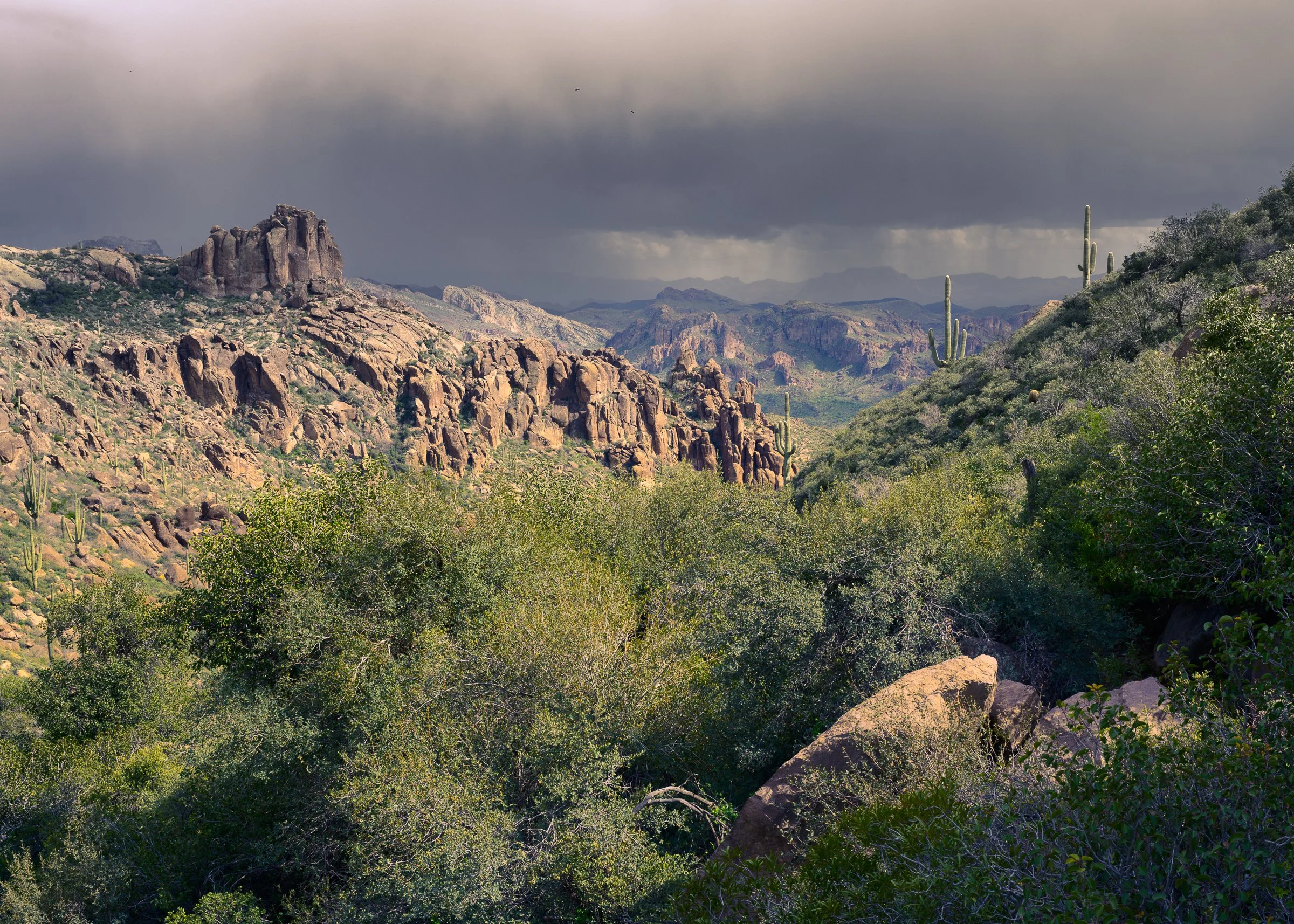 Superstitions Wilderness, Arizona