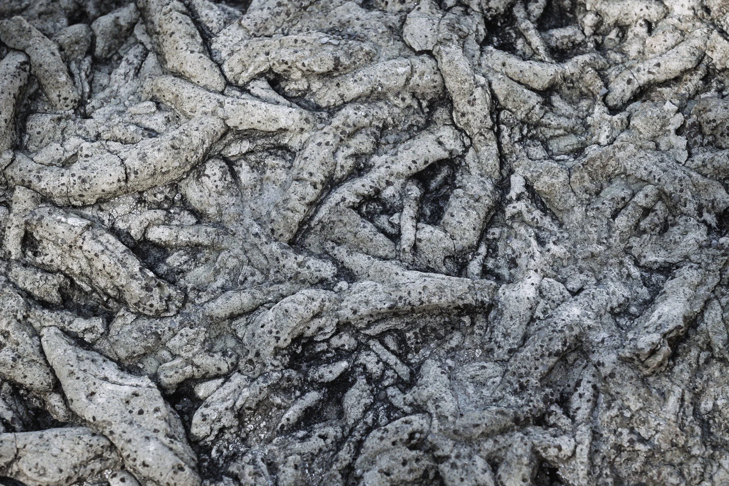 Grand Canyon National Park, Arizona, Tonto Trail, January, 2026