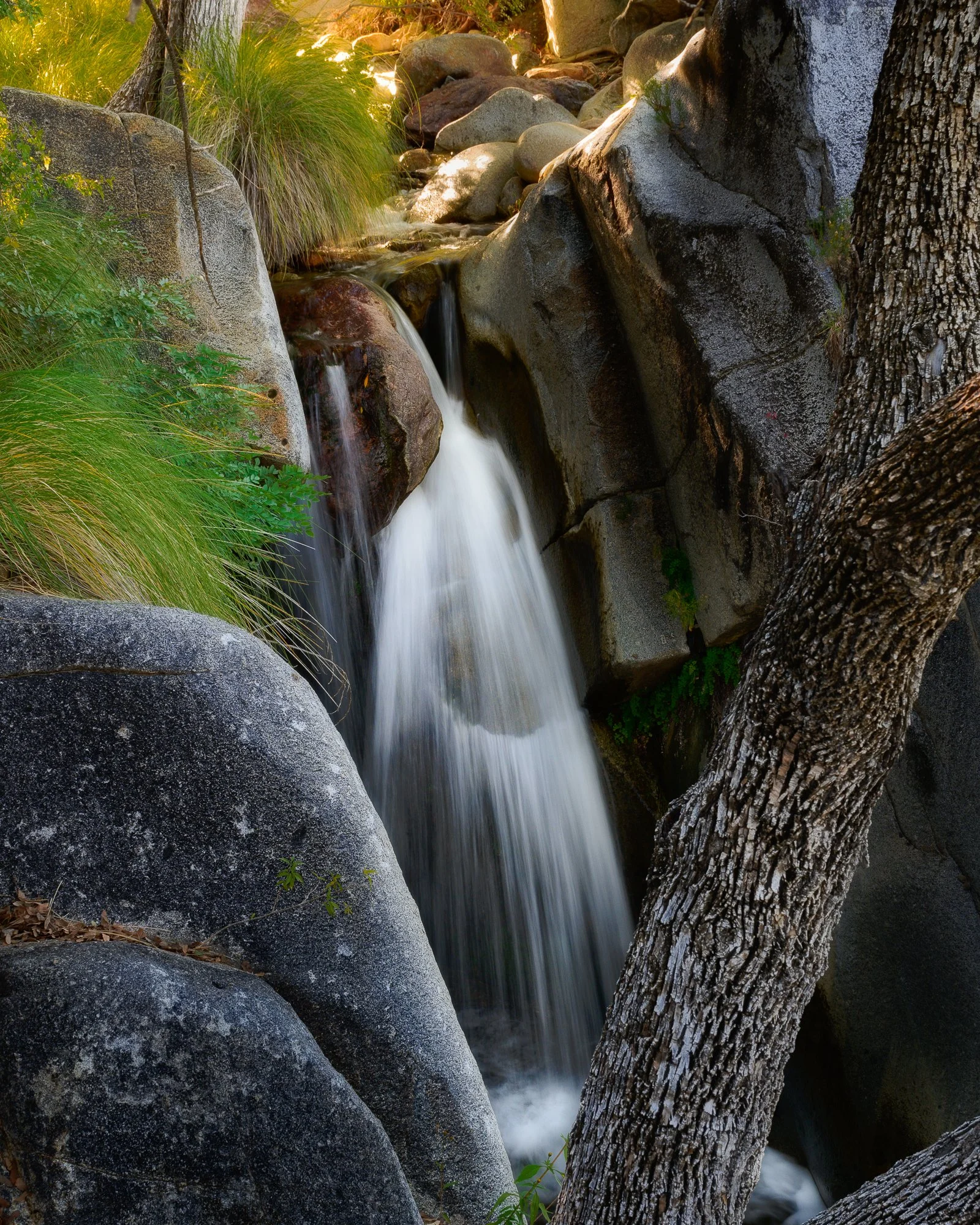 Waterfall behind tree with orton.jpg