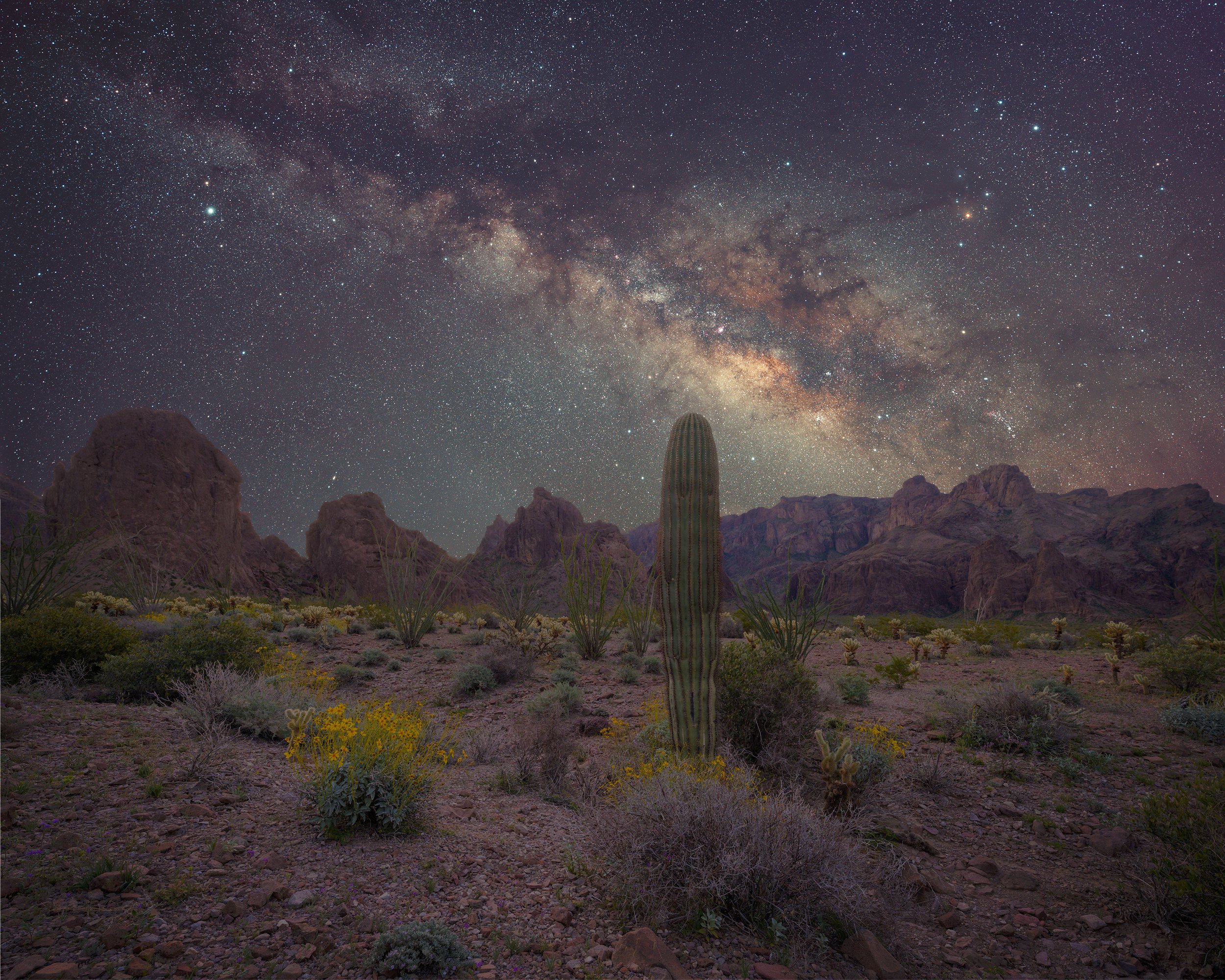 Milky Way, Kofa Wilderness, Arizona