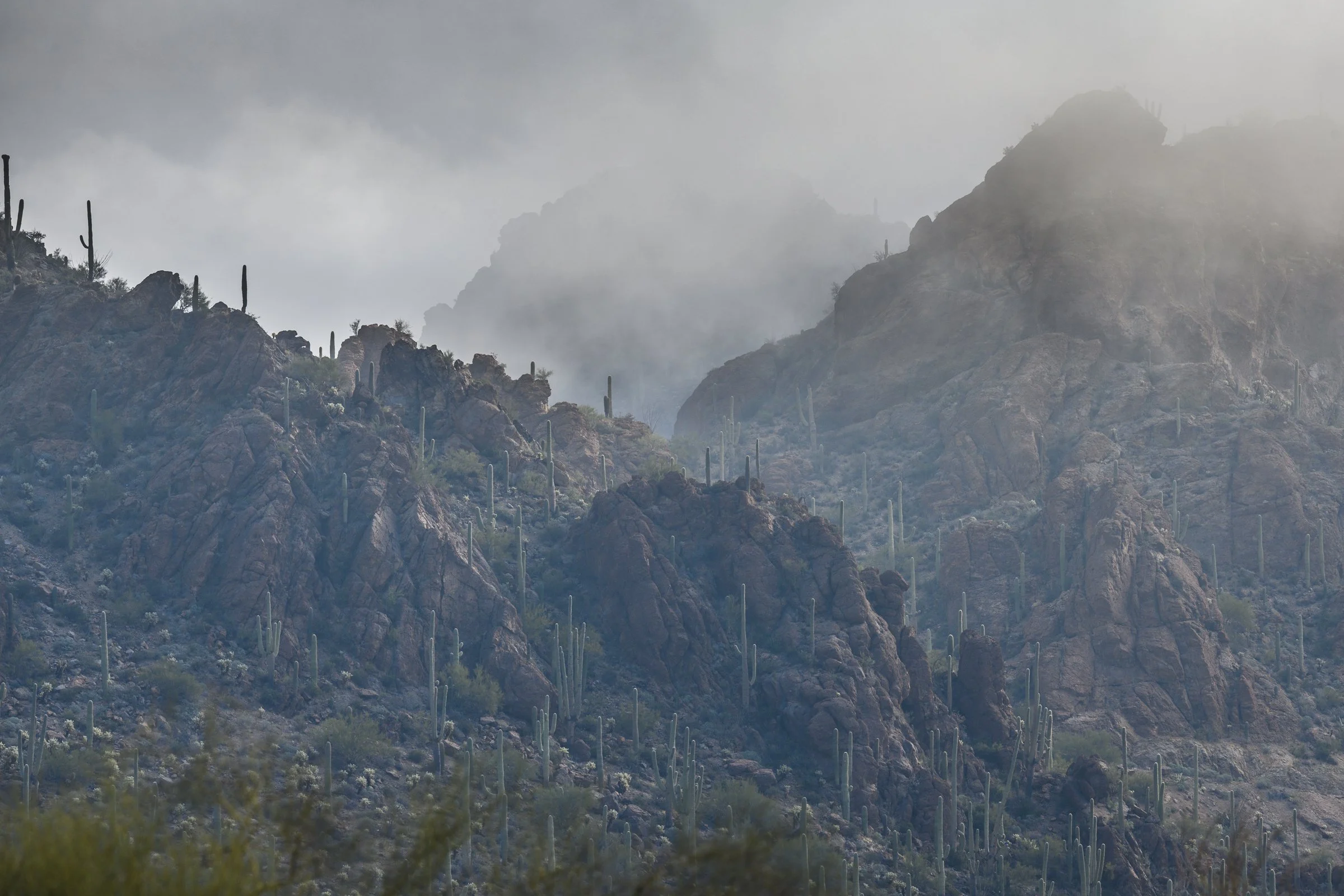 Tucson Mountain Park, Arizona
