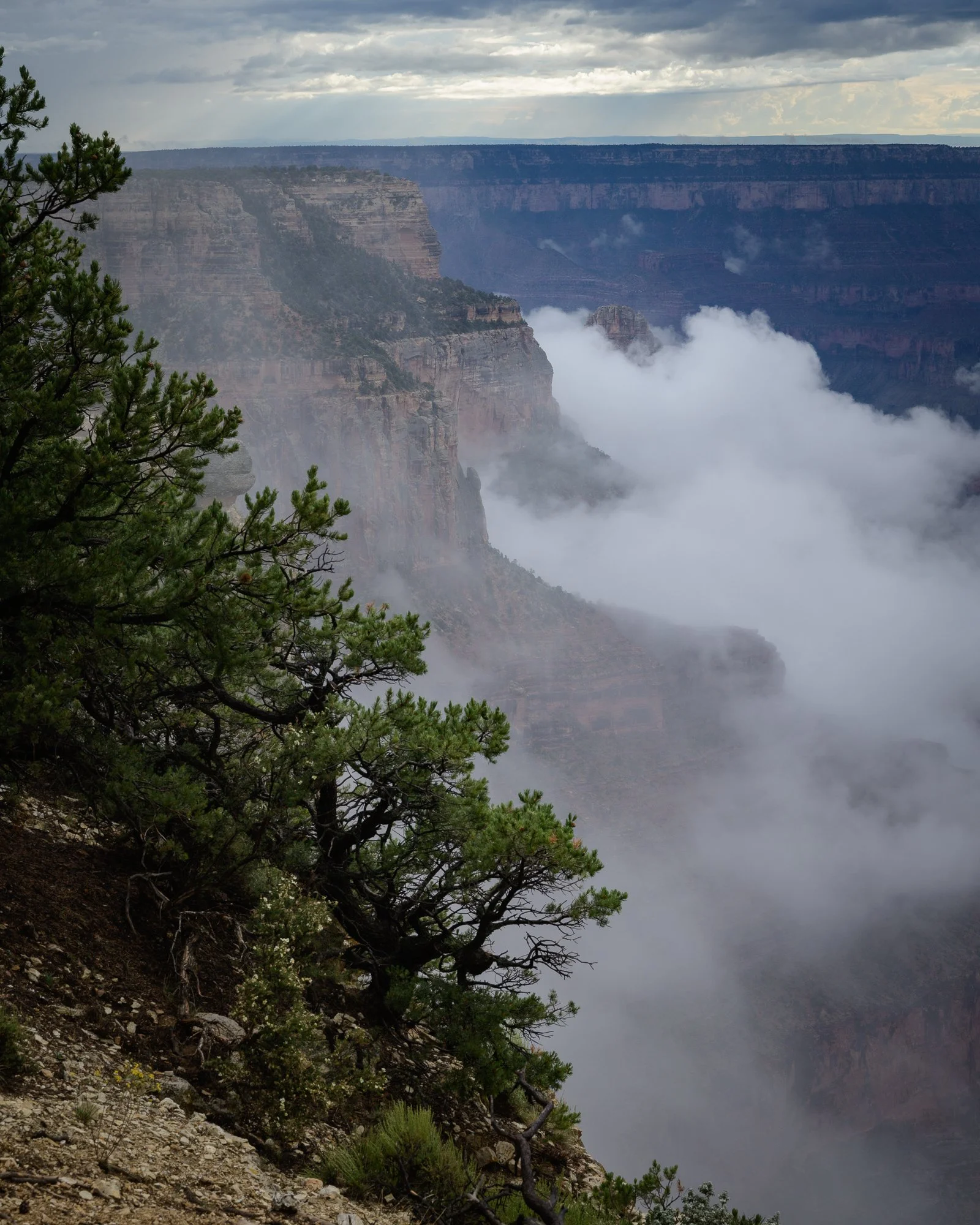 Moody Weather, Grand Canyon National Park, Arizona