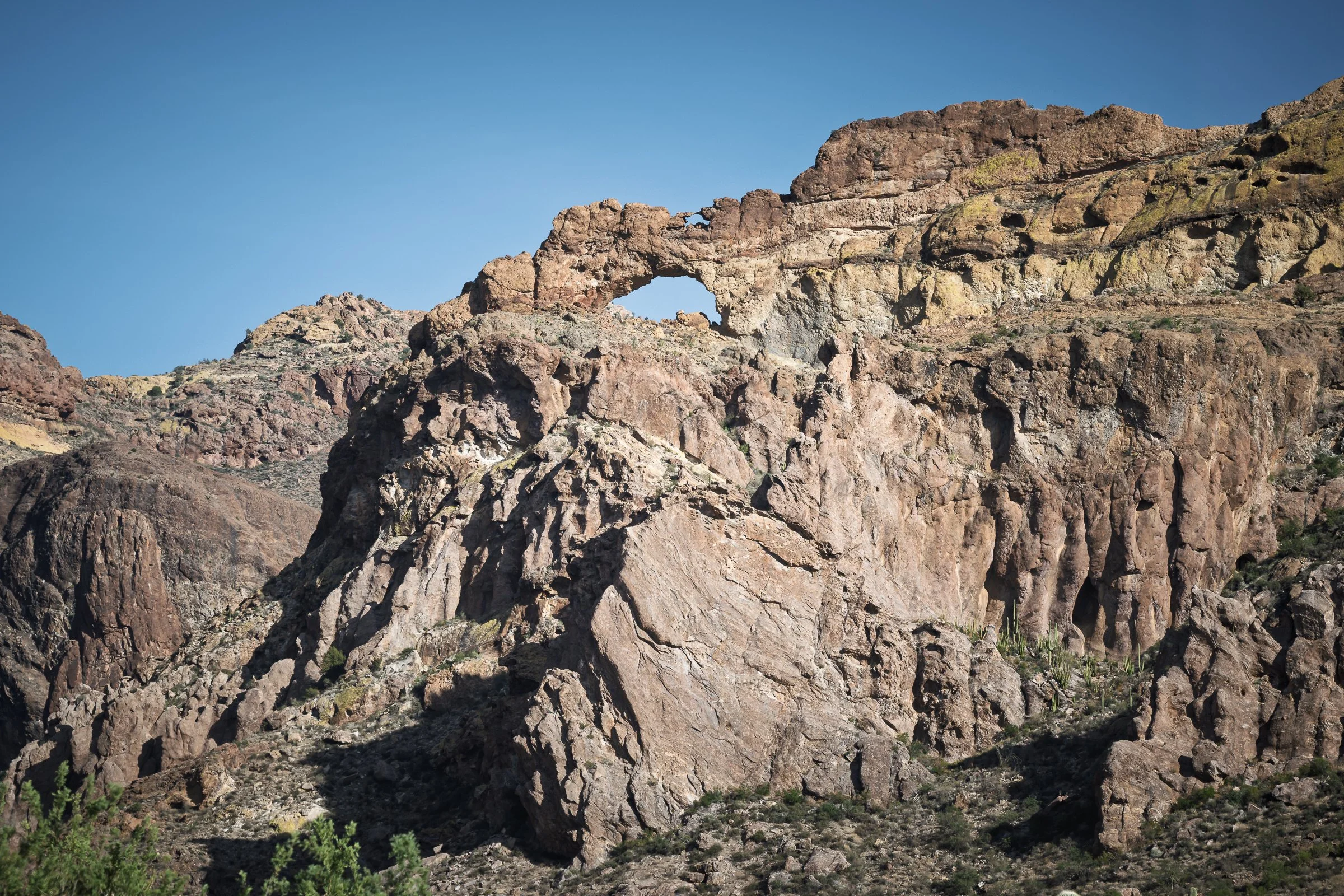 Organ Pipe Cactus National Monument, Arizona