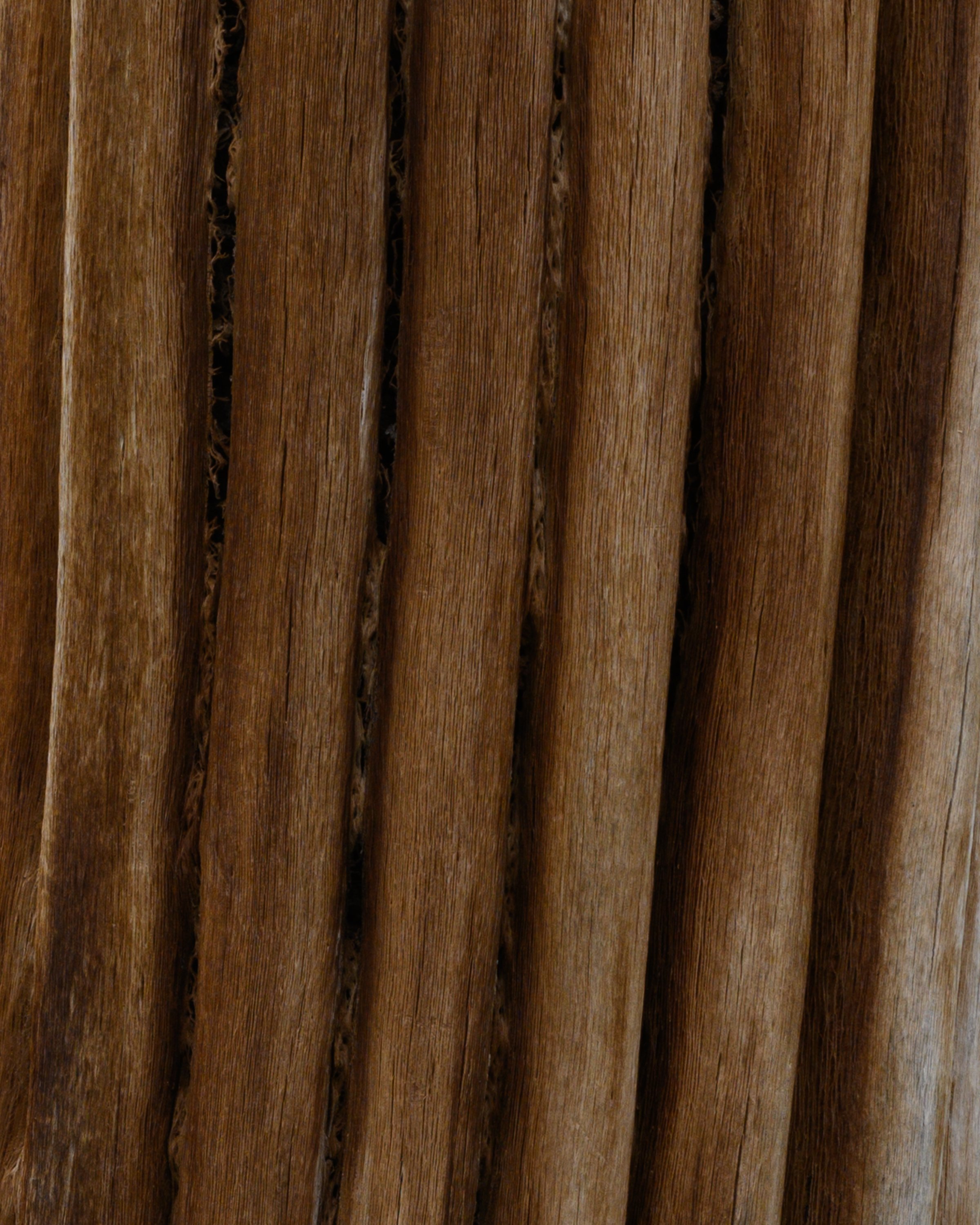 Superstition Wilderness, Arizona