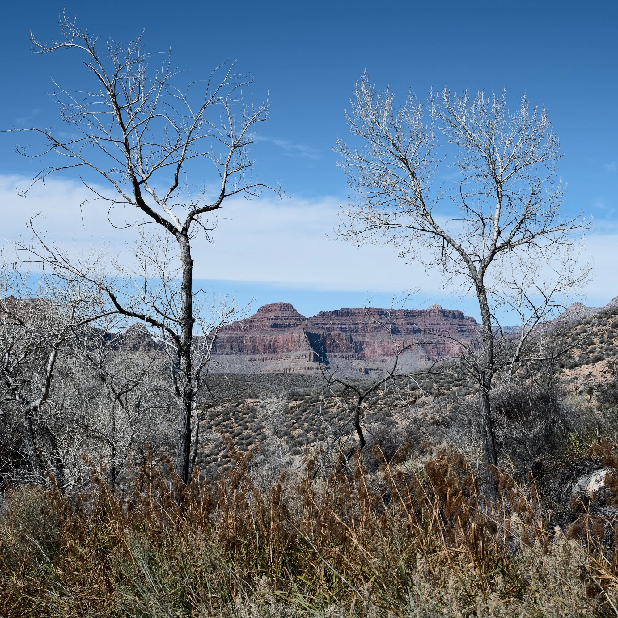 Grand Canyon National Park, Arizona