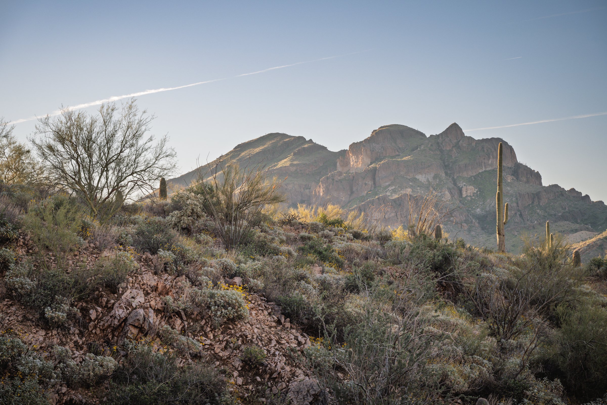 Peralta Trail, Superstition Wilderness, Arizona